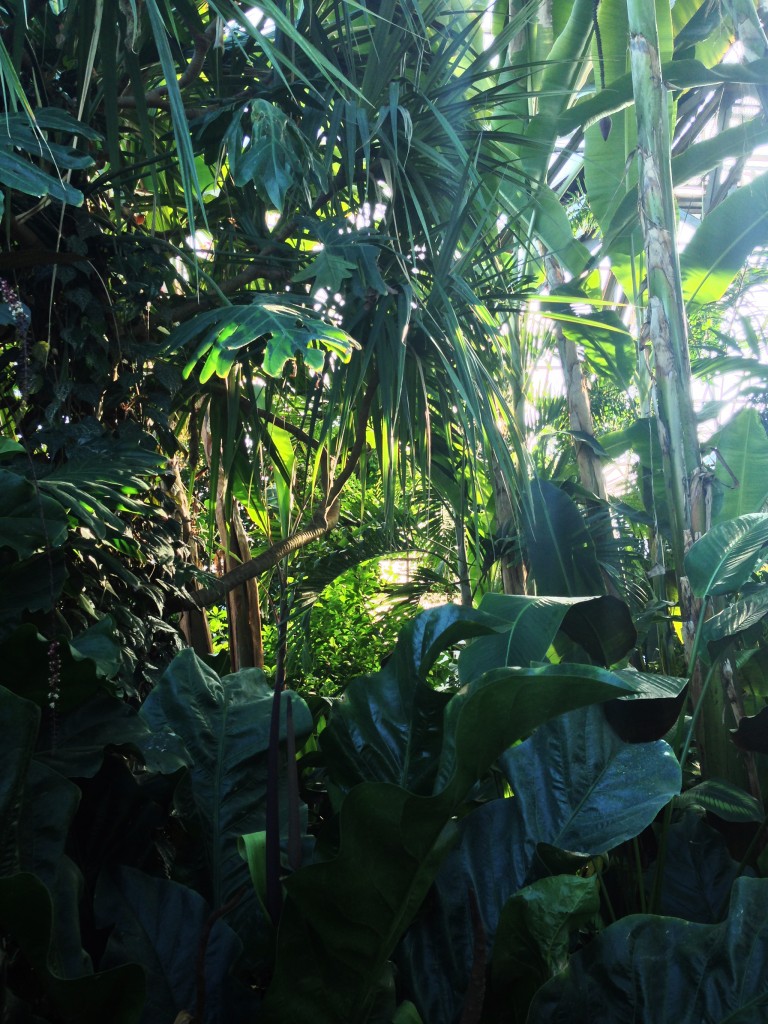 Lincoln Park Conservatory, Chicago IL