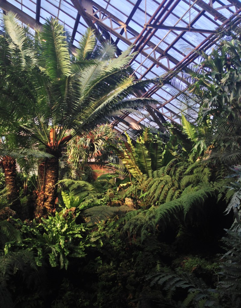 Lincoln Park Conservatory, Chicago IL