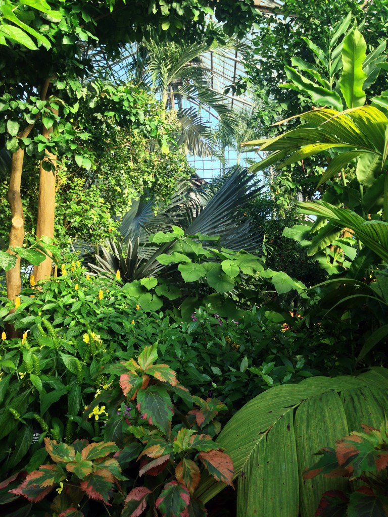 Lincoln Park Conservatory, Chicago IL