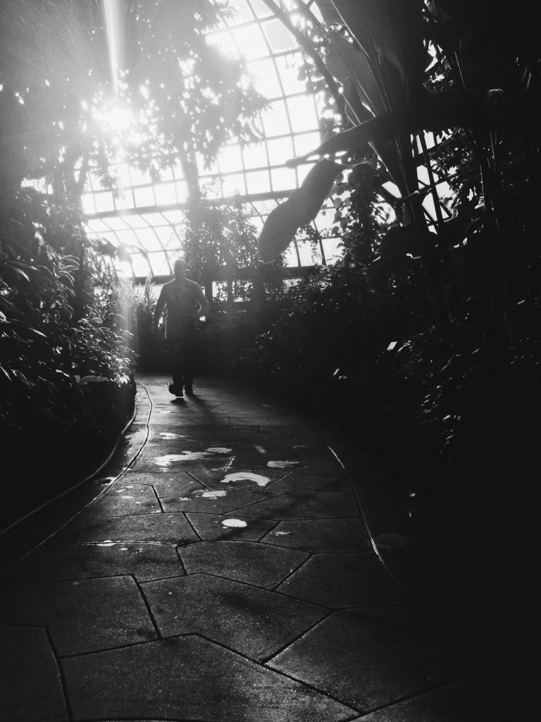 Lincoln Park Conservatory, Chicago IL