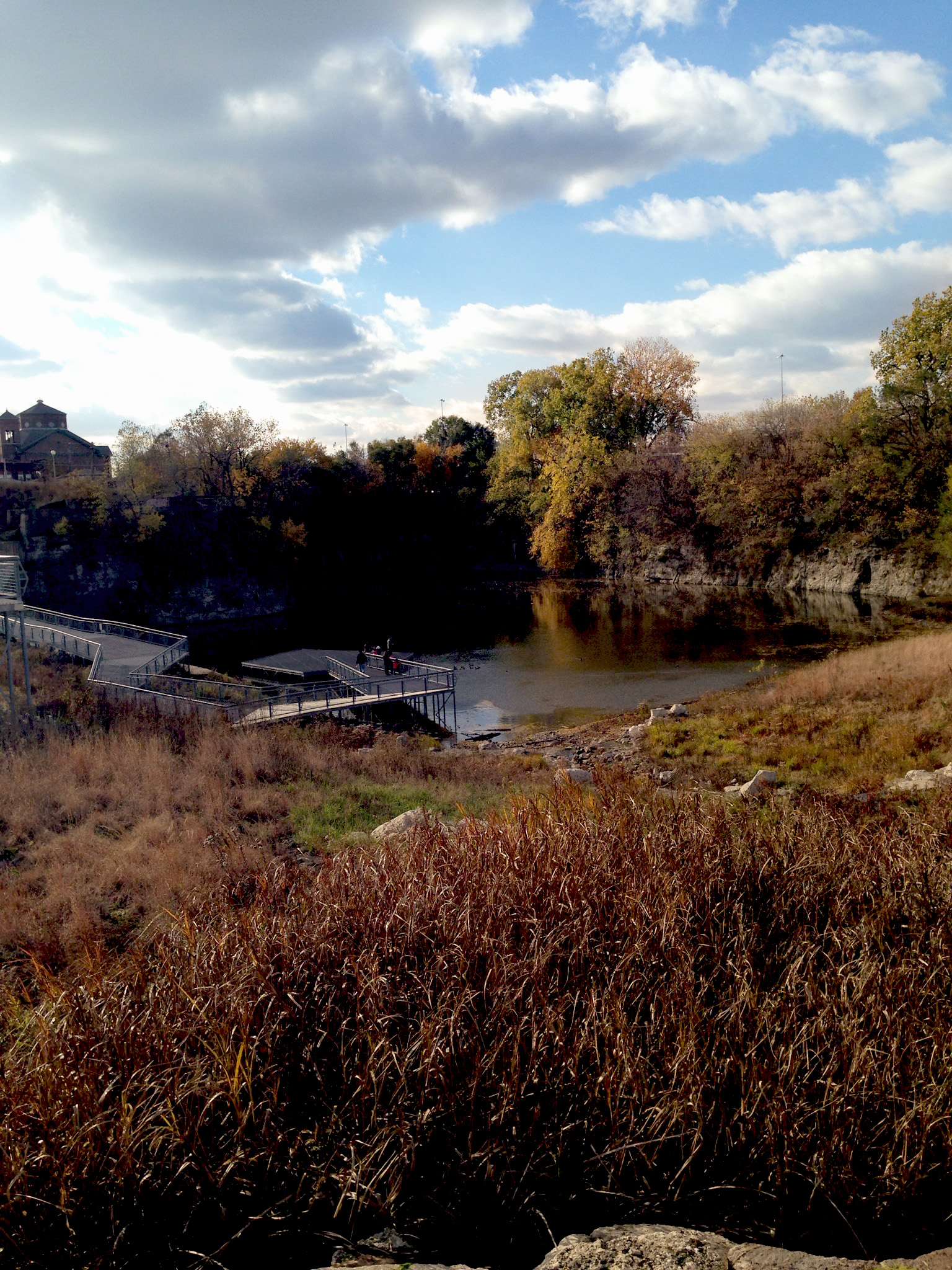 Palmisano Park, Chicago Illinois / Darker than Green