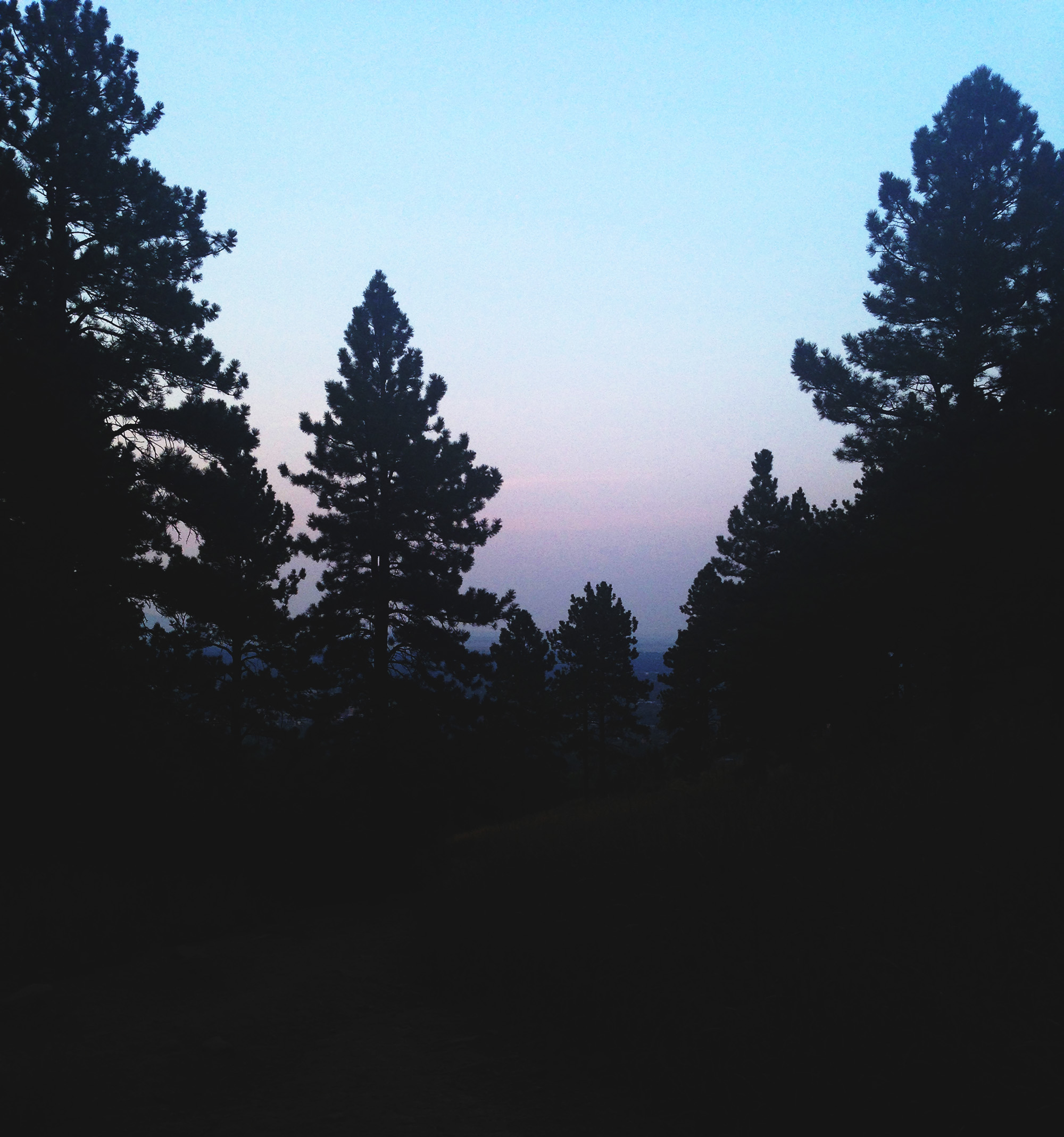 Sunset through the trees, Chautauqua, Boulder Colorado