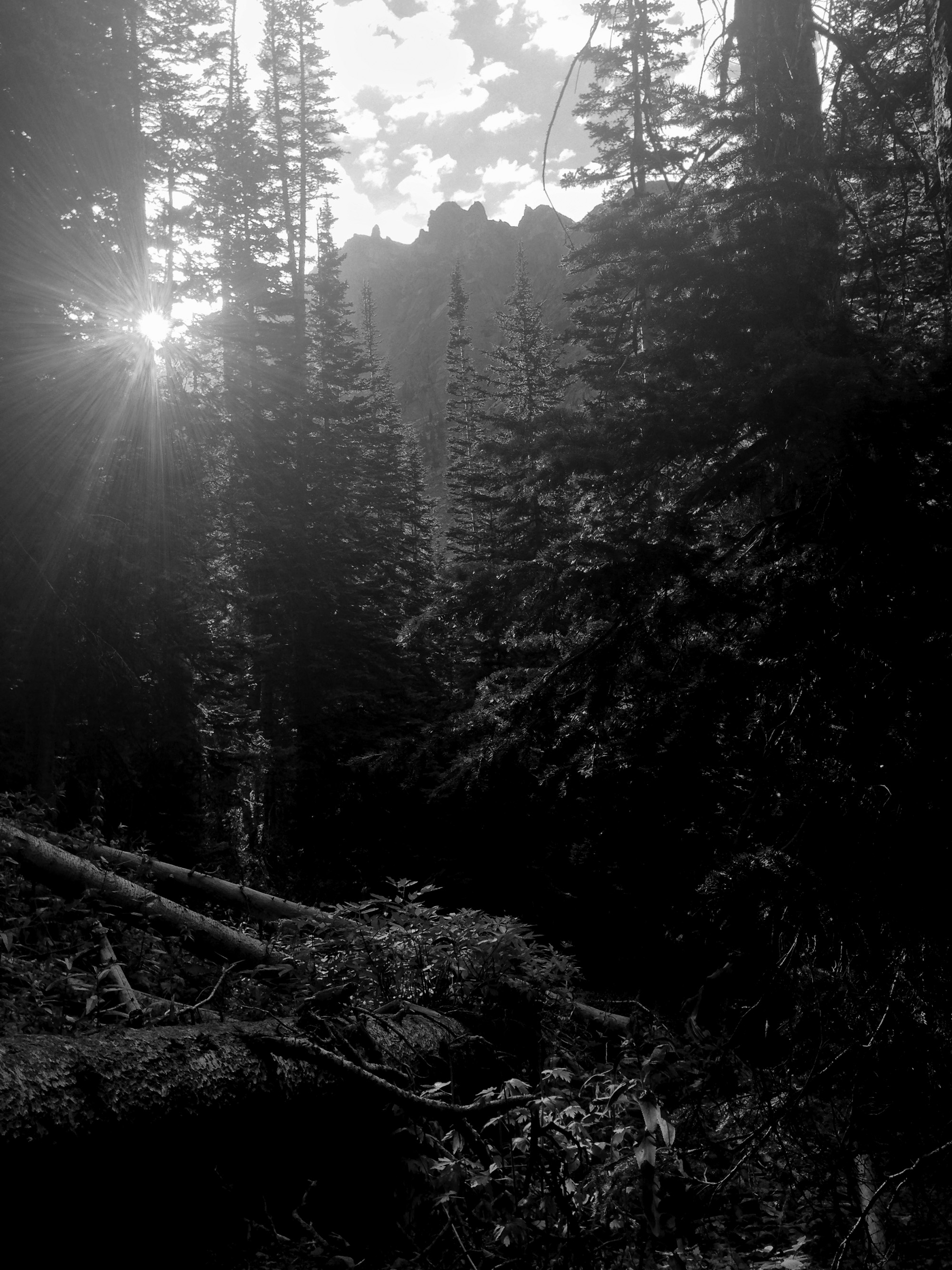 Wilderness in Rocky Mountain National Park, Colorado