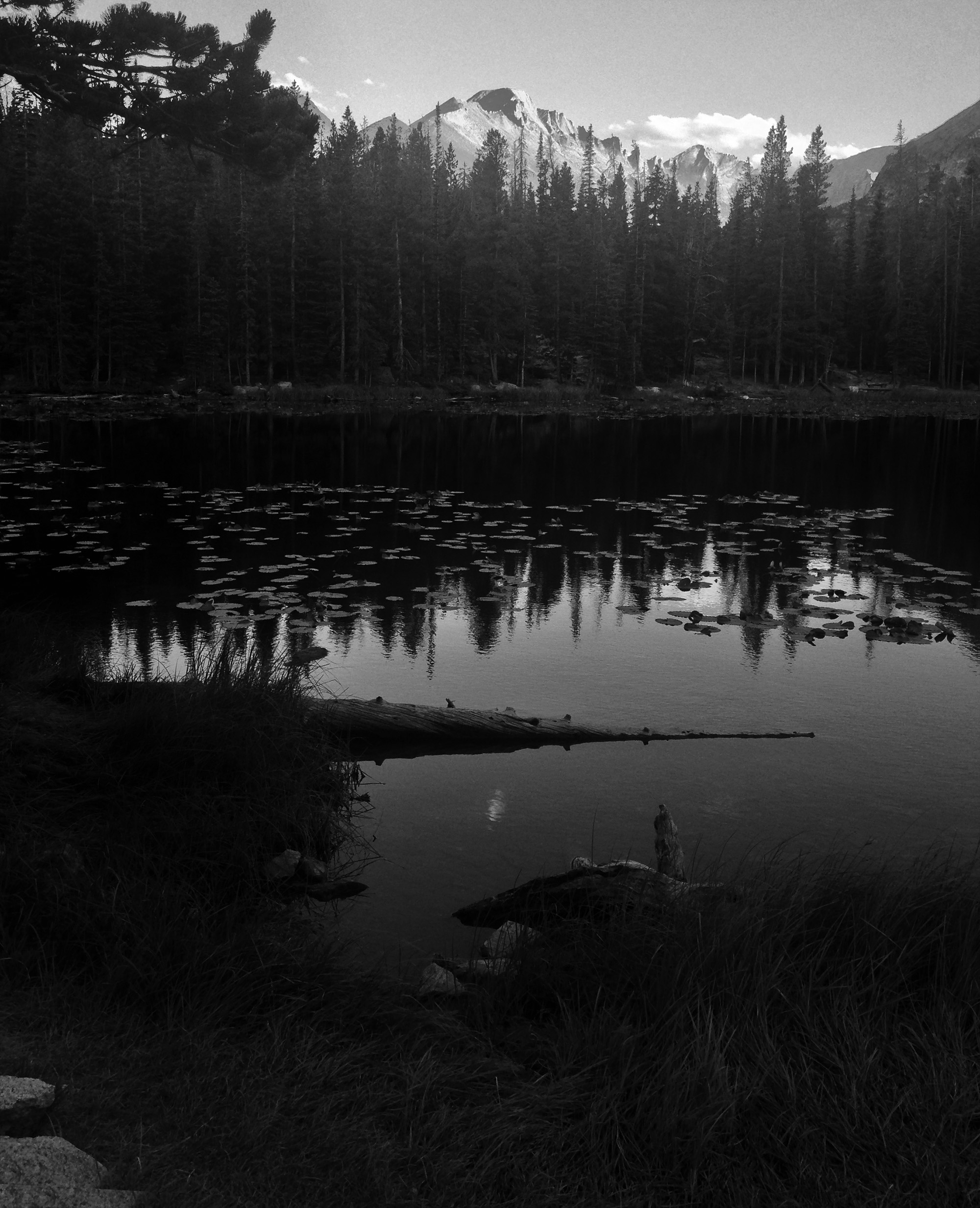 Nymph Lake, Rocky Mountain National Park, CO