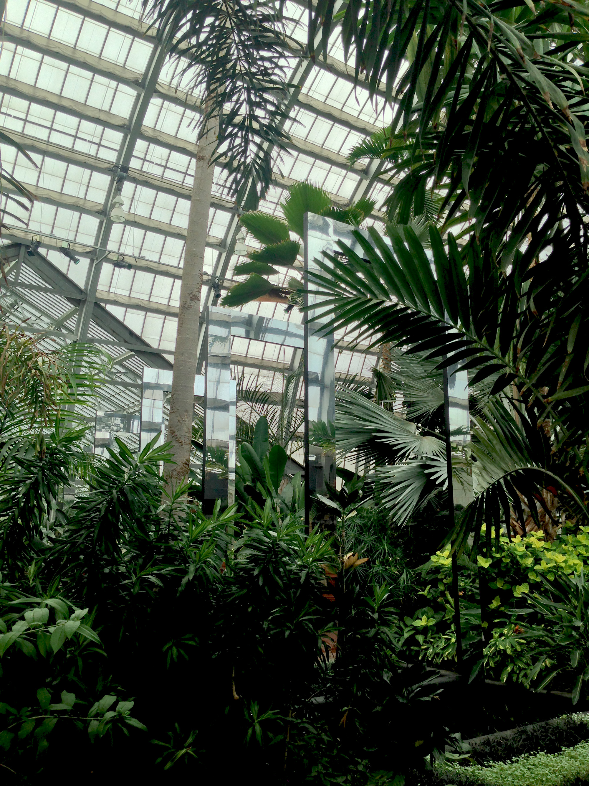 Luftwerk installation in the Palm room, Garfield Park Conservatory, Chicago Illinois