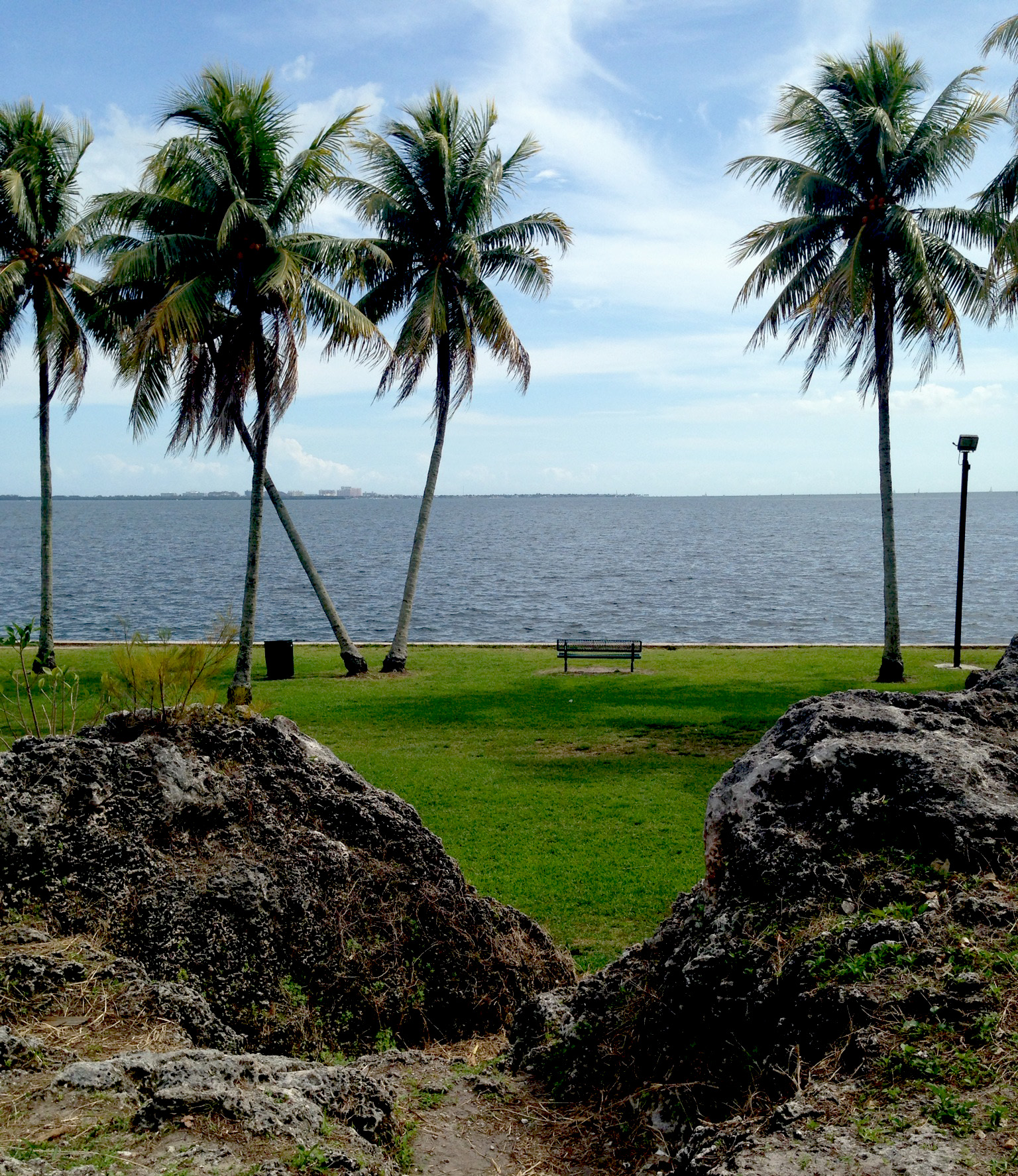 Alice Wainwright Park, Miami Florida / Darker than Green