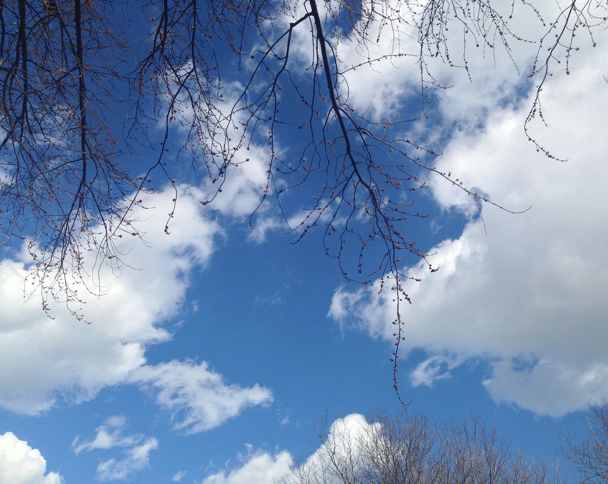 Spring sky / Darker than Green
