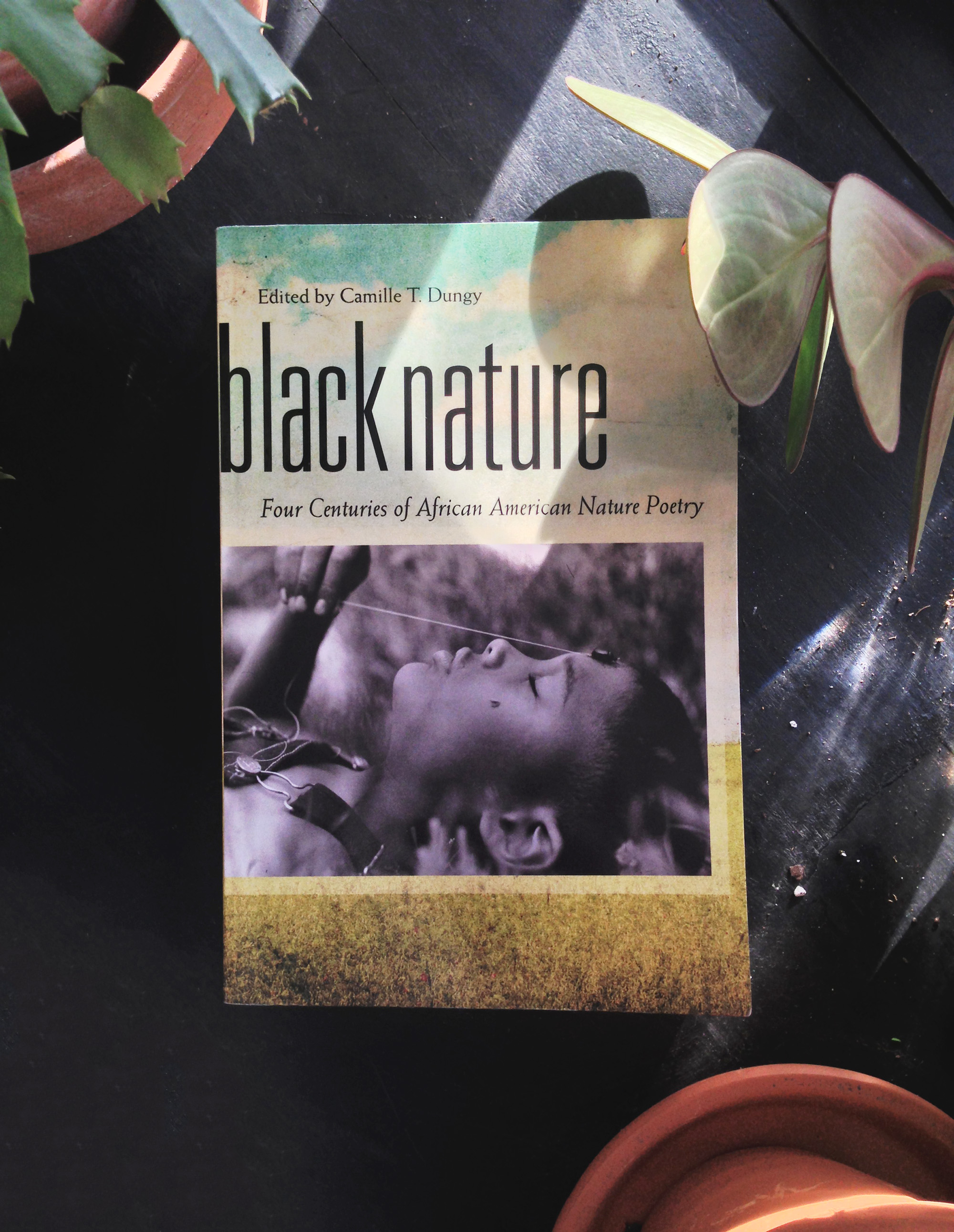 Black Nature: Four Centuries of African American Nature Poetry, Edited by Camille T. Dungy