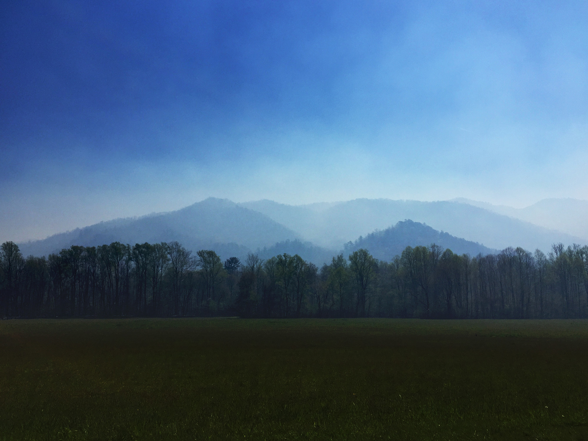 Great Smoky Mountains National Park / Darker than Green