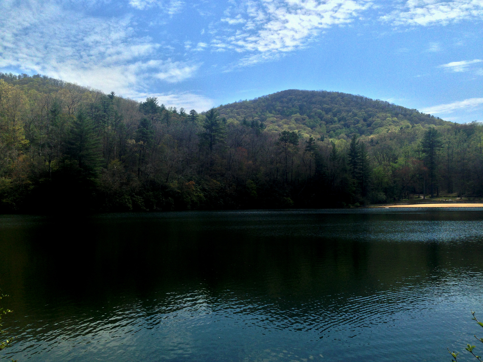 Lake Powhatan, Pisgah National Forest / Darker than Green