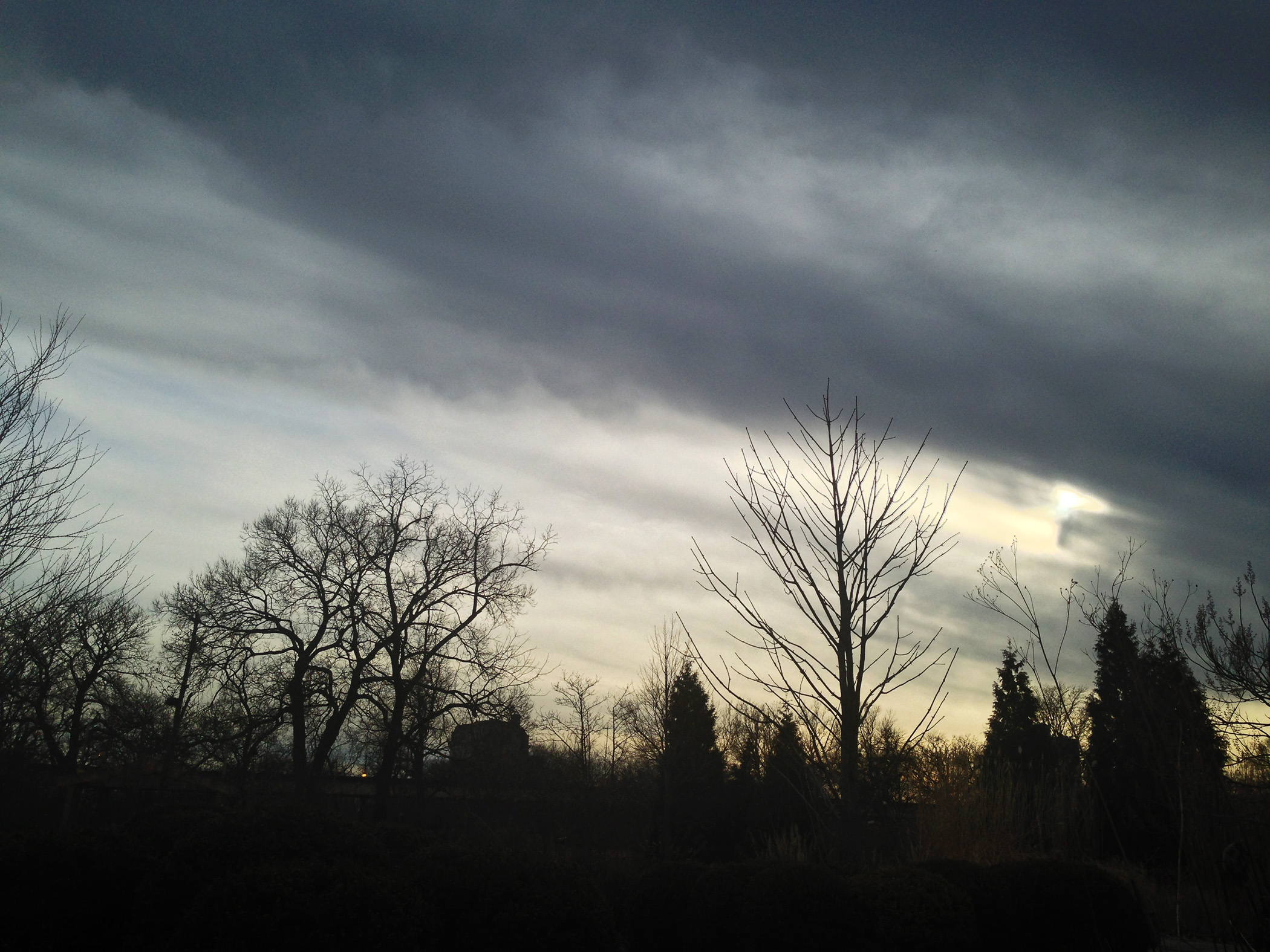 Behind the Garfield Park Conservatory, Chicago Illinois / Darker than Green