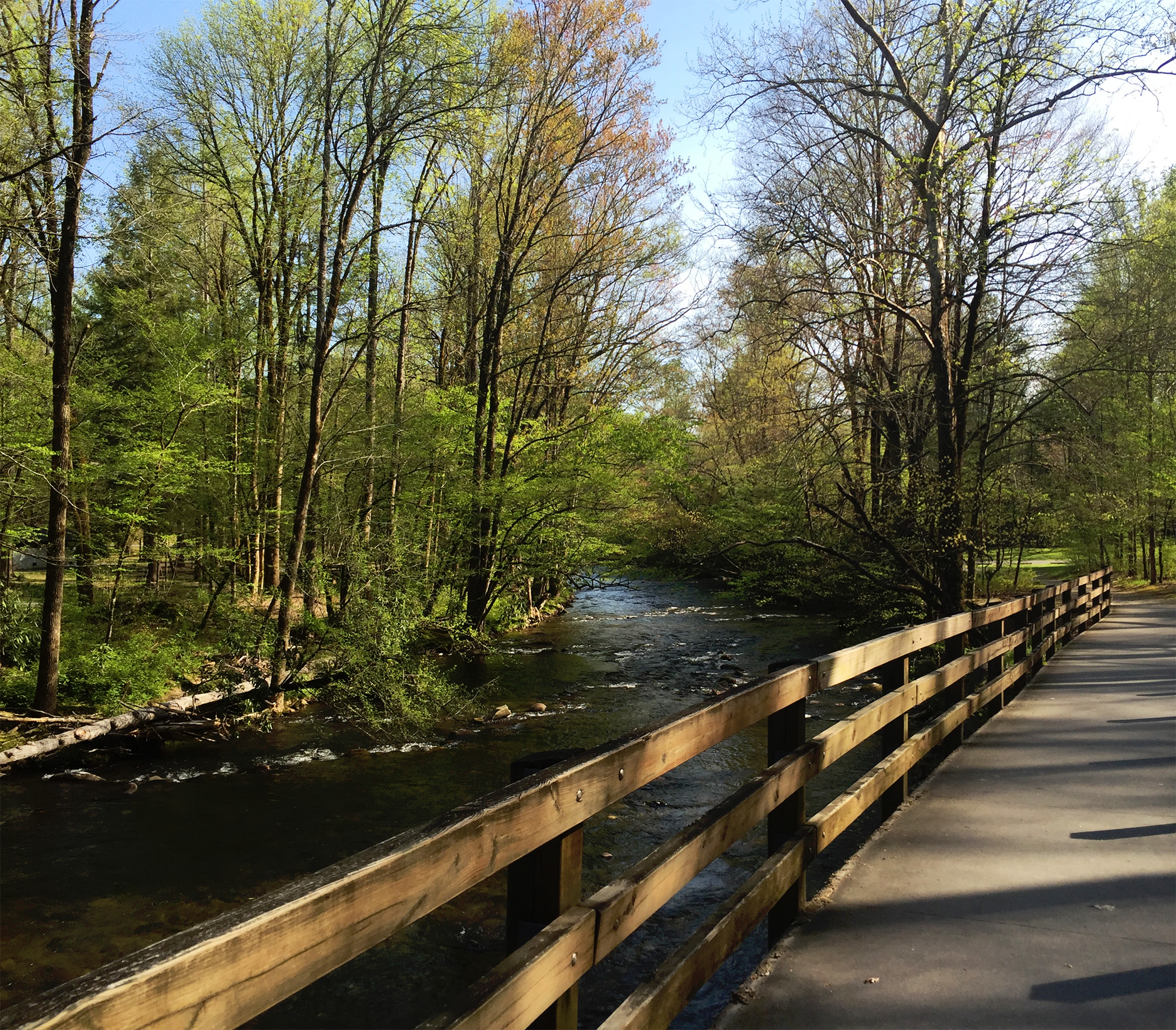 Deep Creek, Great Smoky Mountains National Park, Bryson City NC / Darker than Green