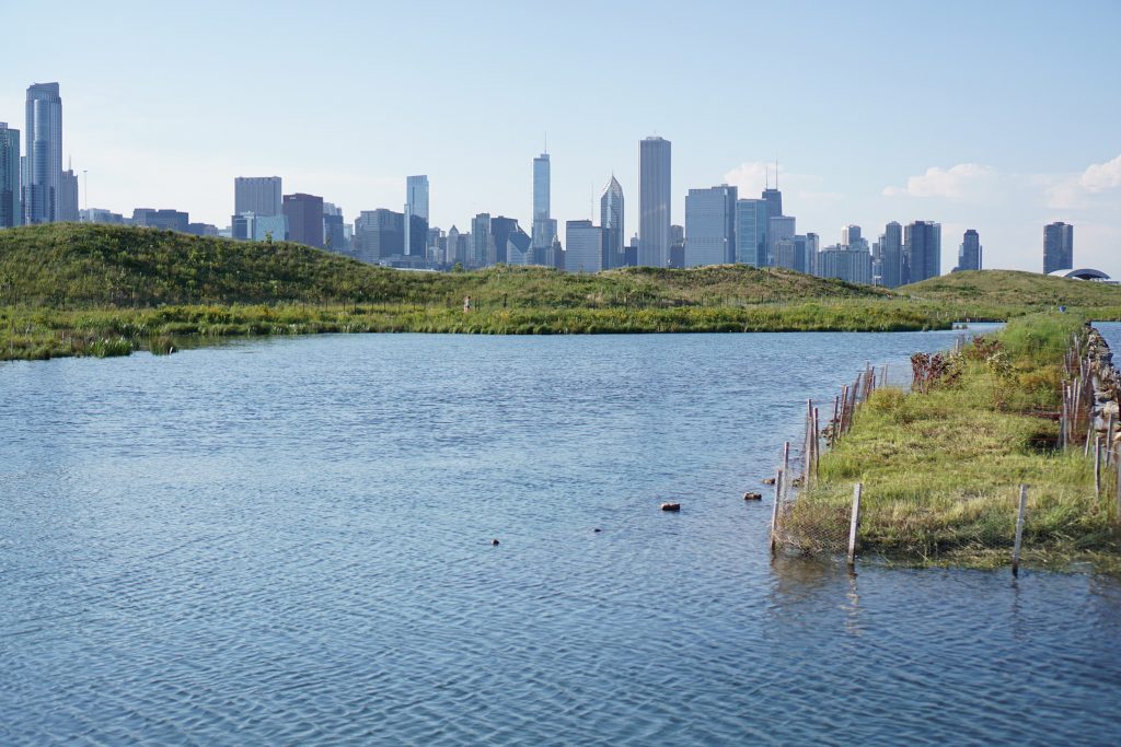 Lake Michigan lagoon, Northerly Island / Darker than Green