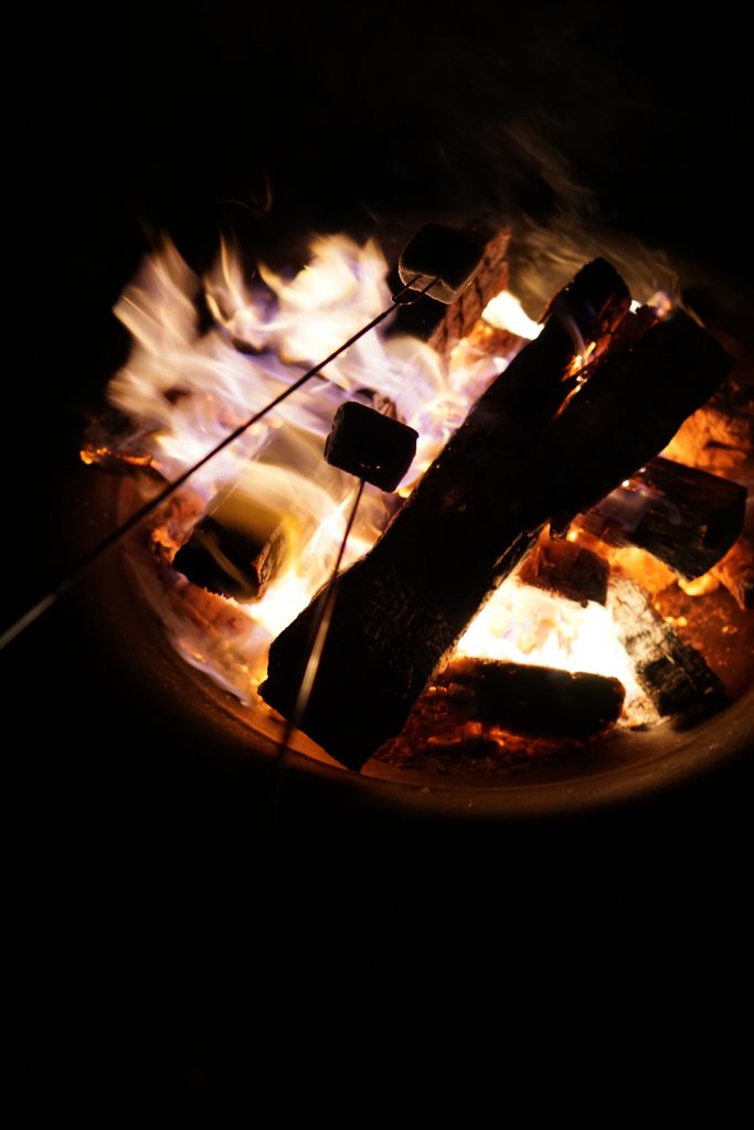 Smores on Northerly Island, Chicago / Darker than Green