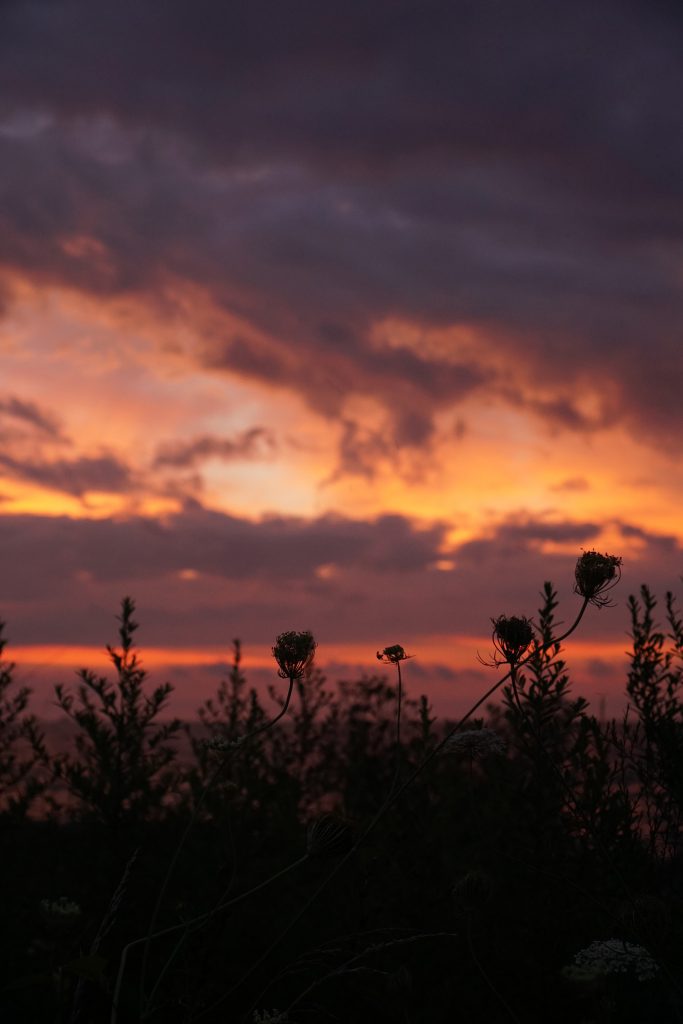 Sunrise at Lake Michigan / Darker than Green