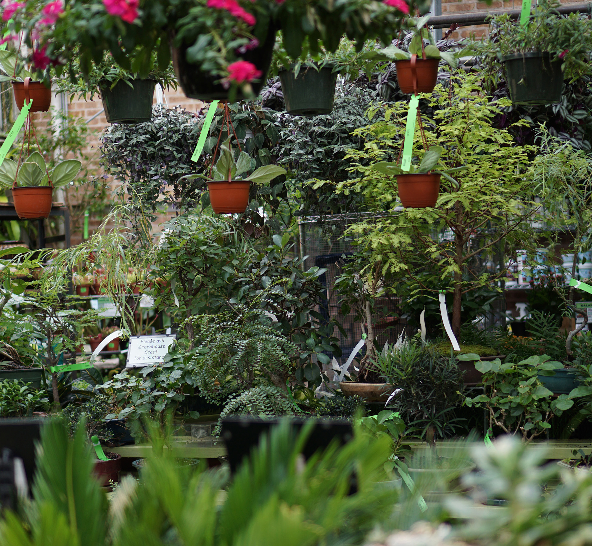 Gethsemane Garden Center in Chicago / Darker than Green