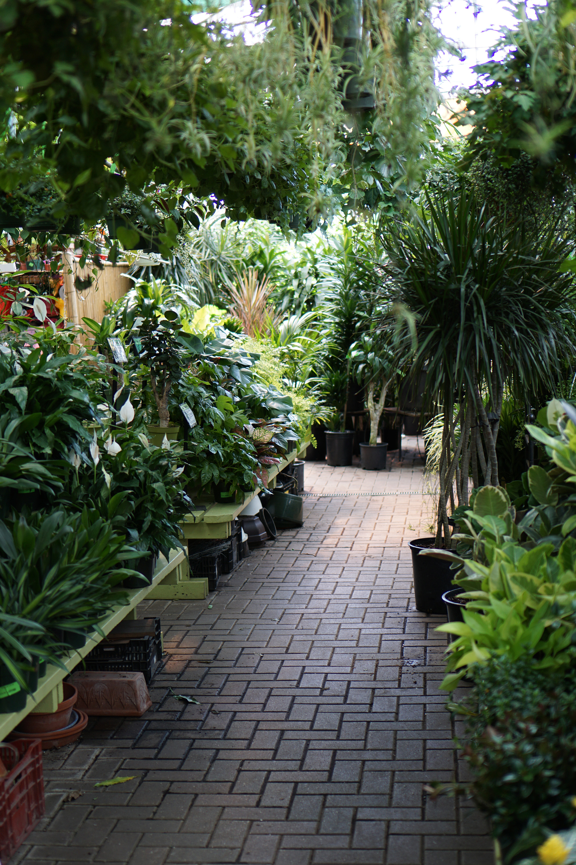 Gethsemane Garden Center in Chicago / Darker than Green