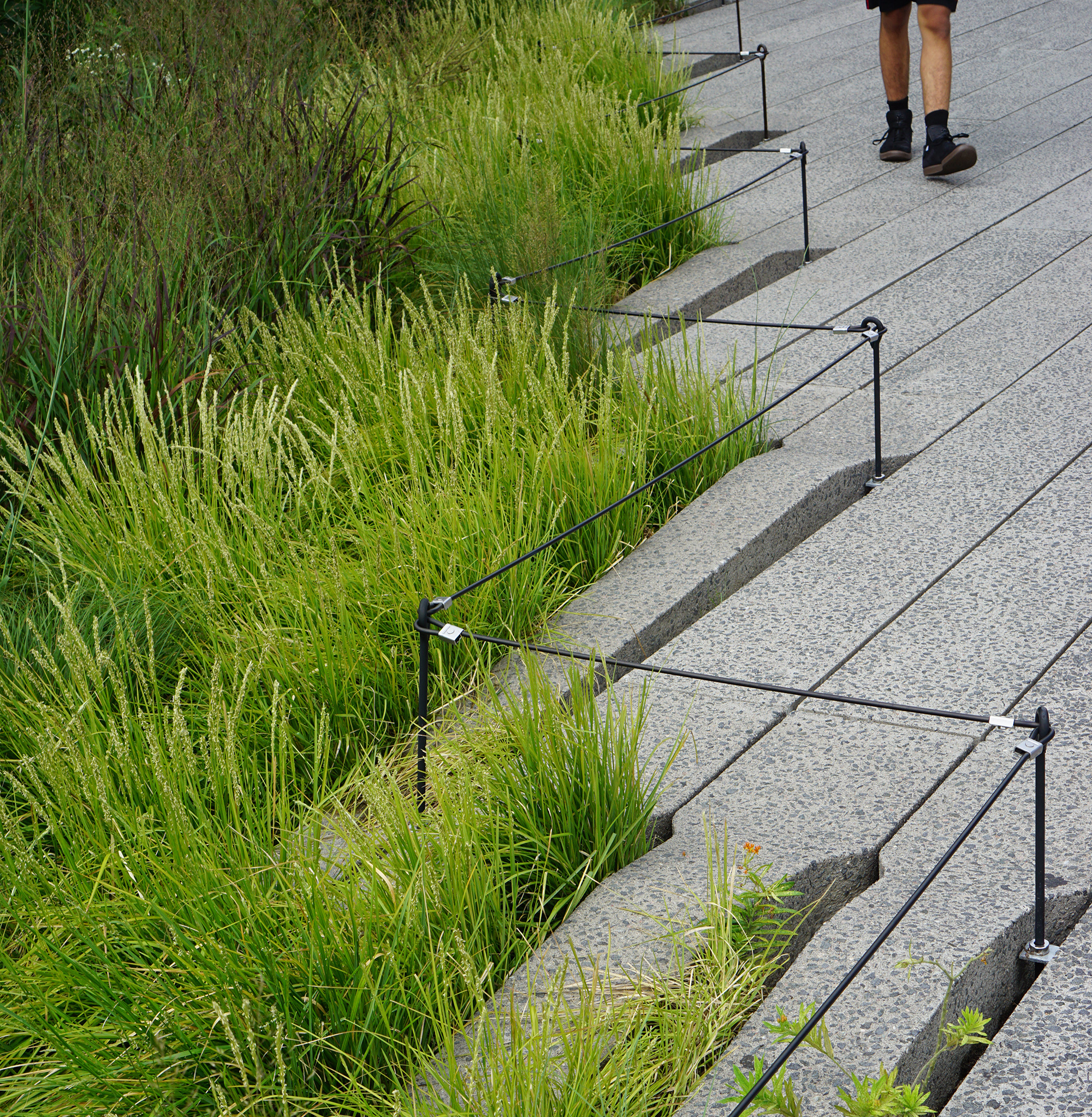 High Line / NYC Green City Guide / Darker than Green