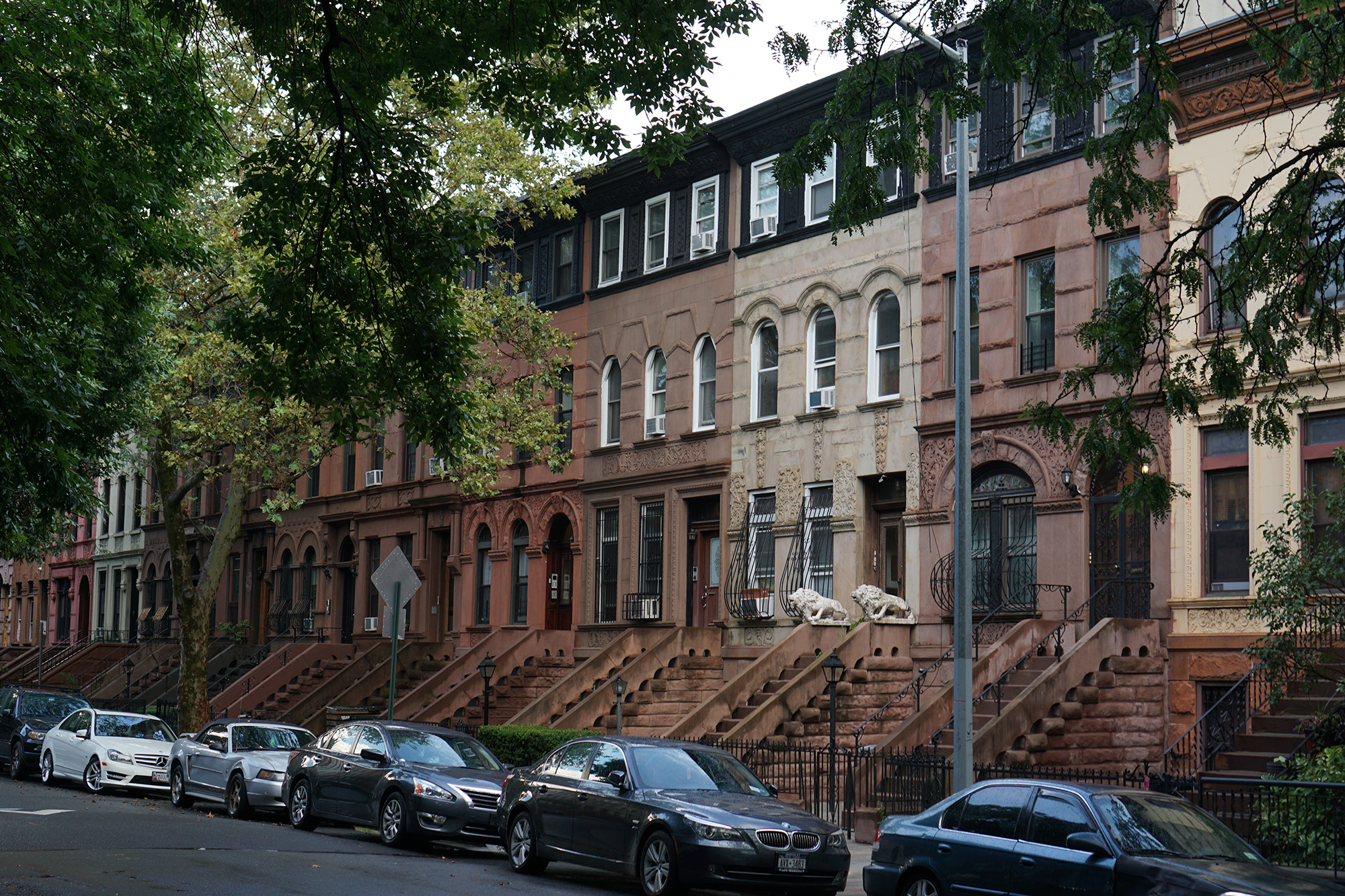 Prospect Heights, Brooklyn / NYC Green City Guide / Darker than Green