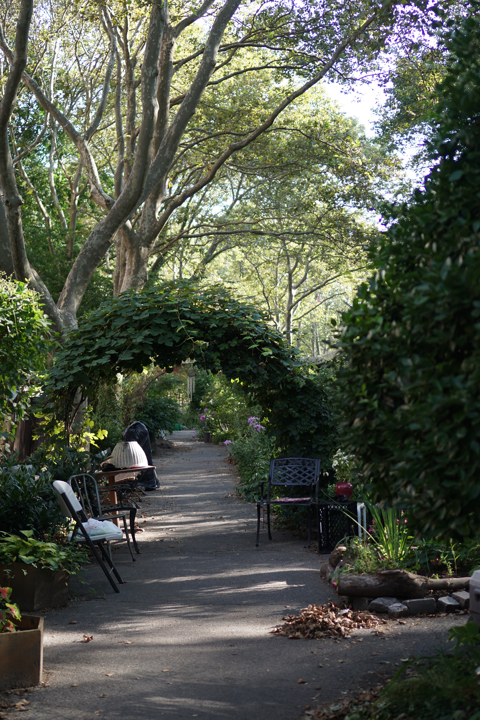 M’Finda Kalunga Community Garden, Lower East Side / NYC Green City Guide / Darker than Green