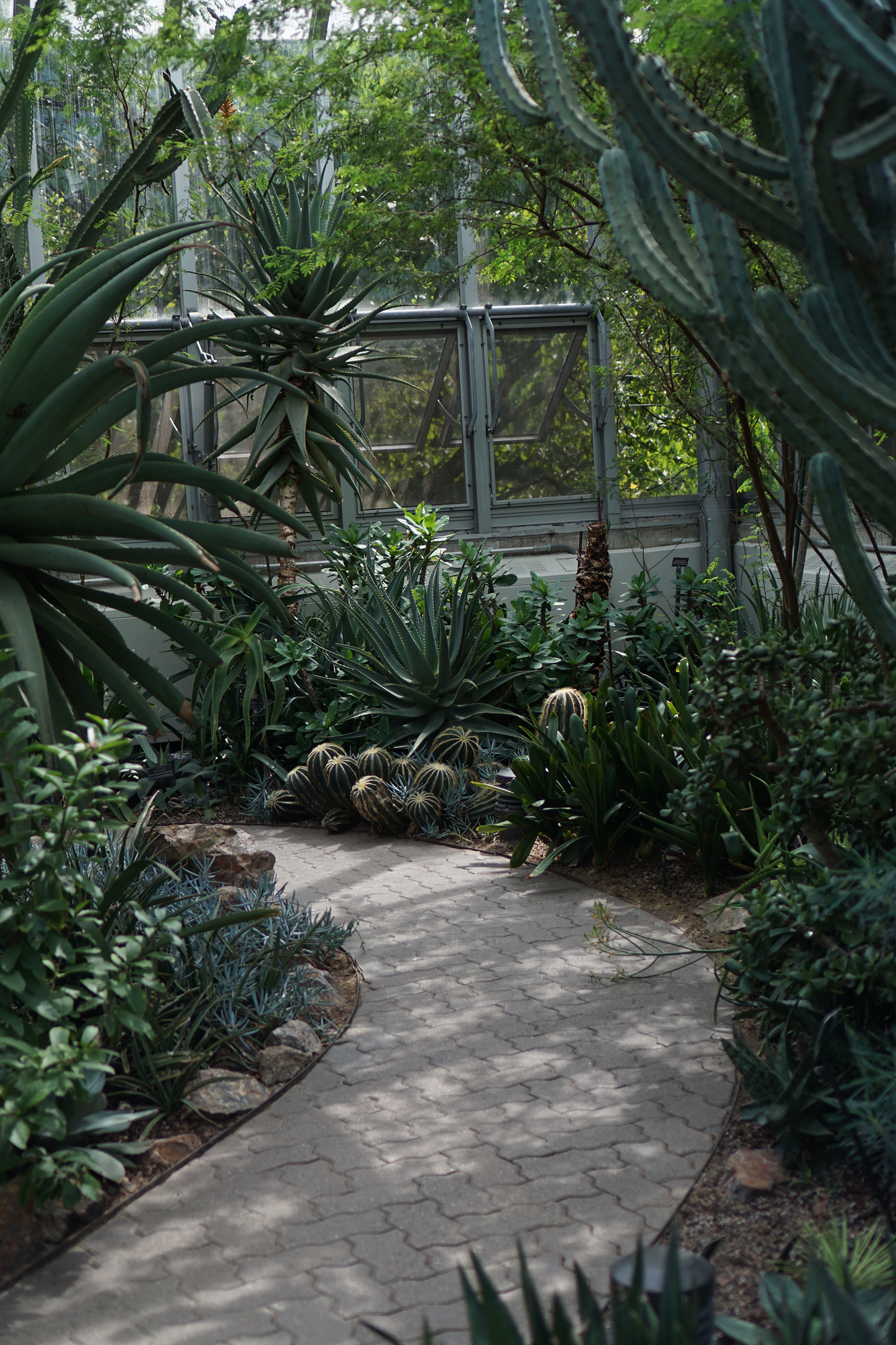 Desert house, Chicago Botanic Garden / Darker than Green