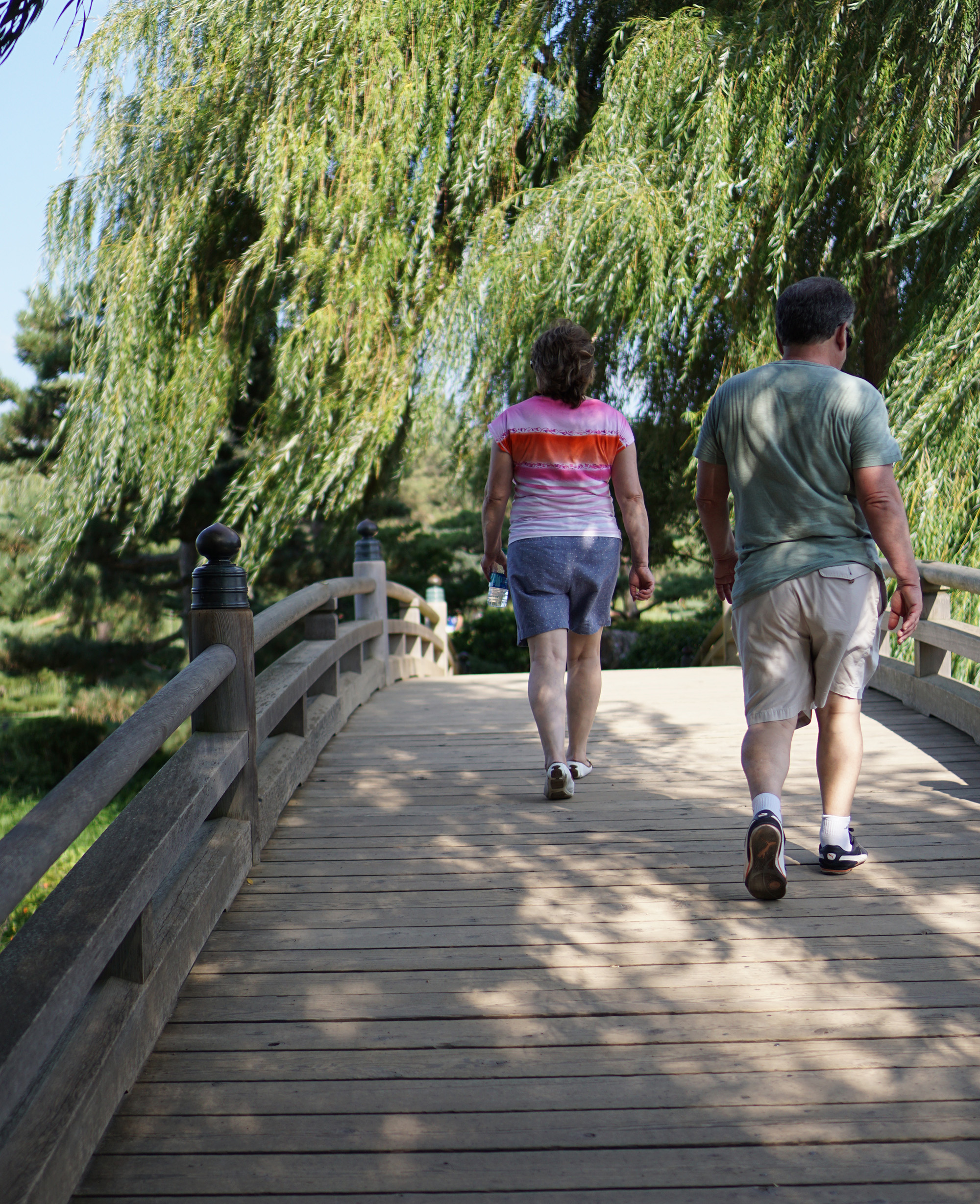 Bridge to Japanese Garden, Chicago Botanic Garden / Darker than Green