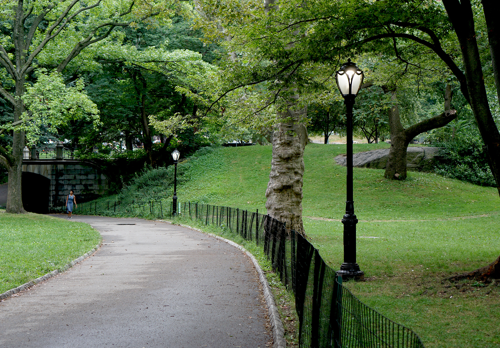 Walking through Central Park / Darker than Green