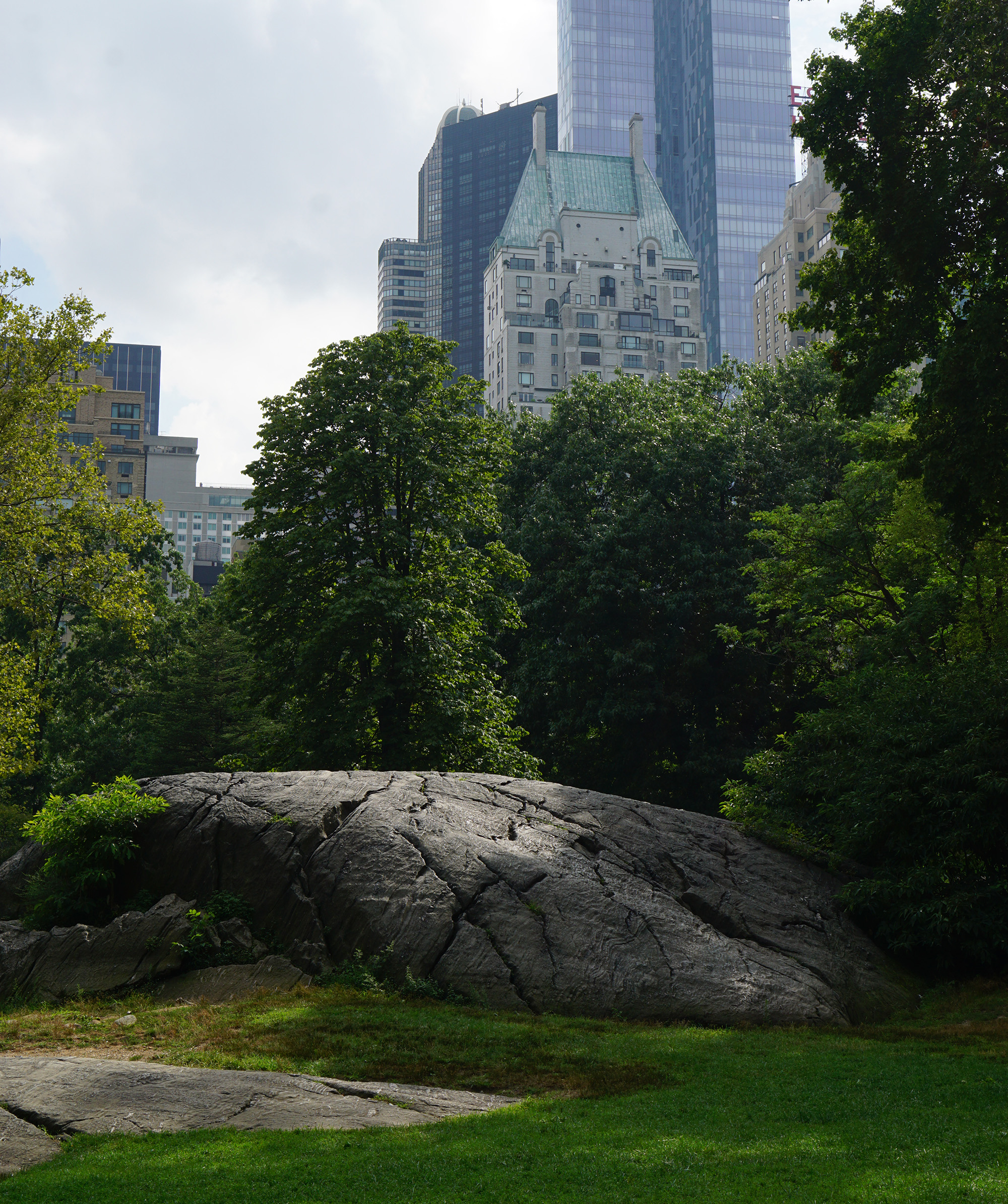 Central Park / NYC Green City Guide / Darker than Green