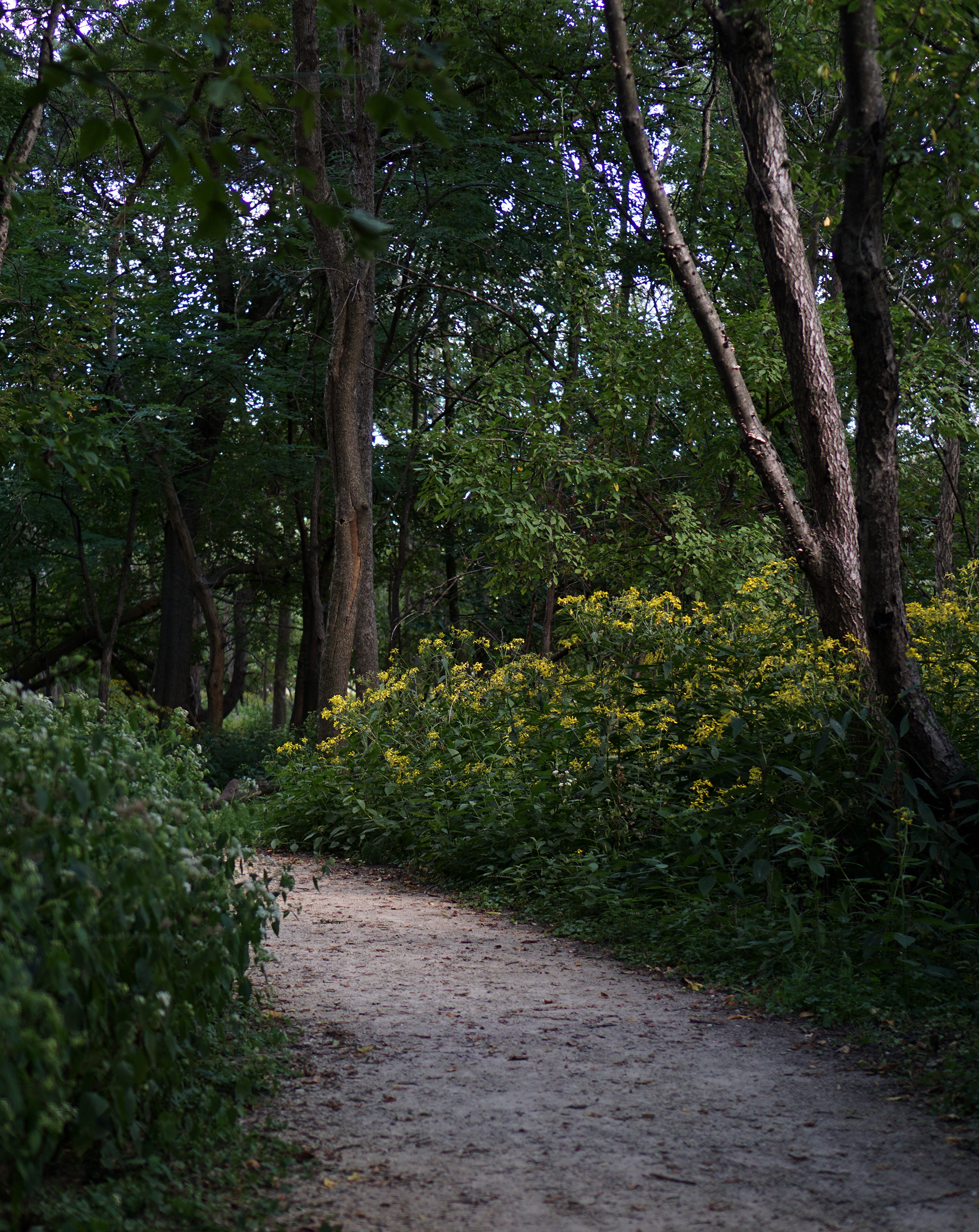 North Park Village Nature Center / Darker than Green