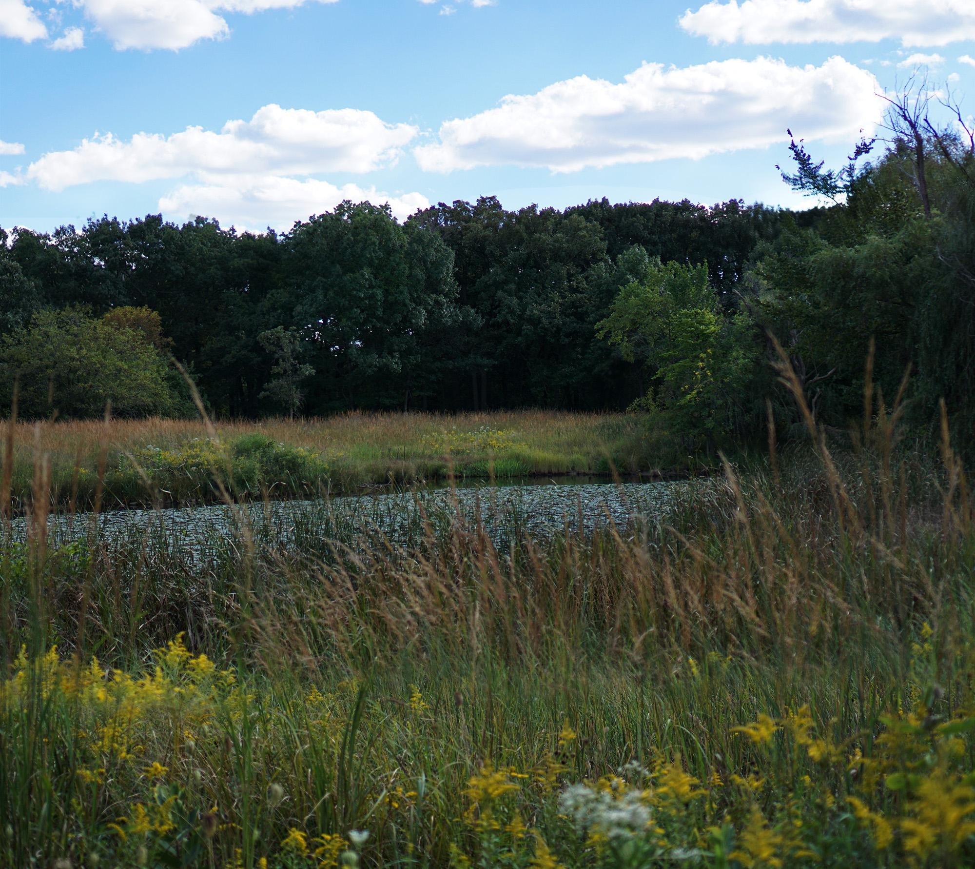 north-park-village-nature-center-1223