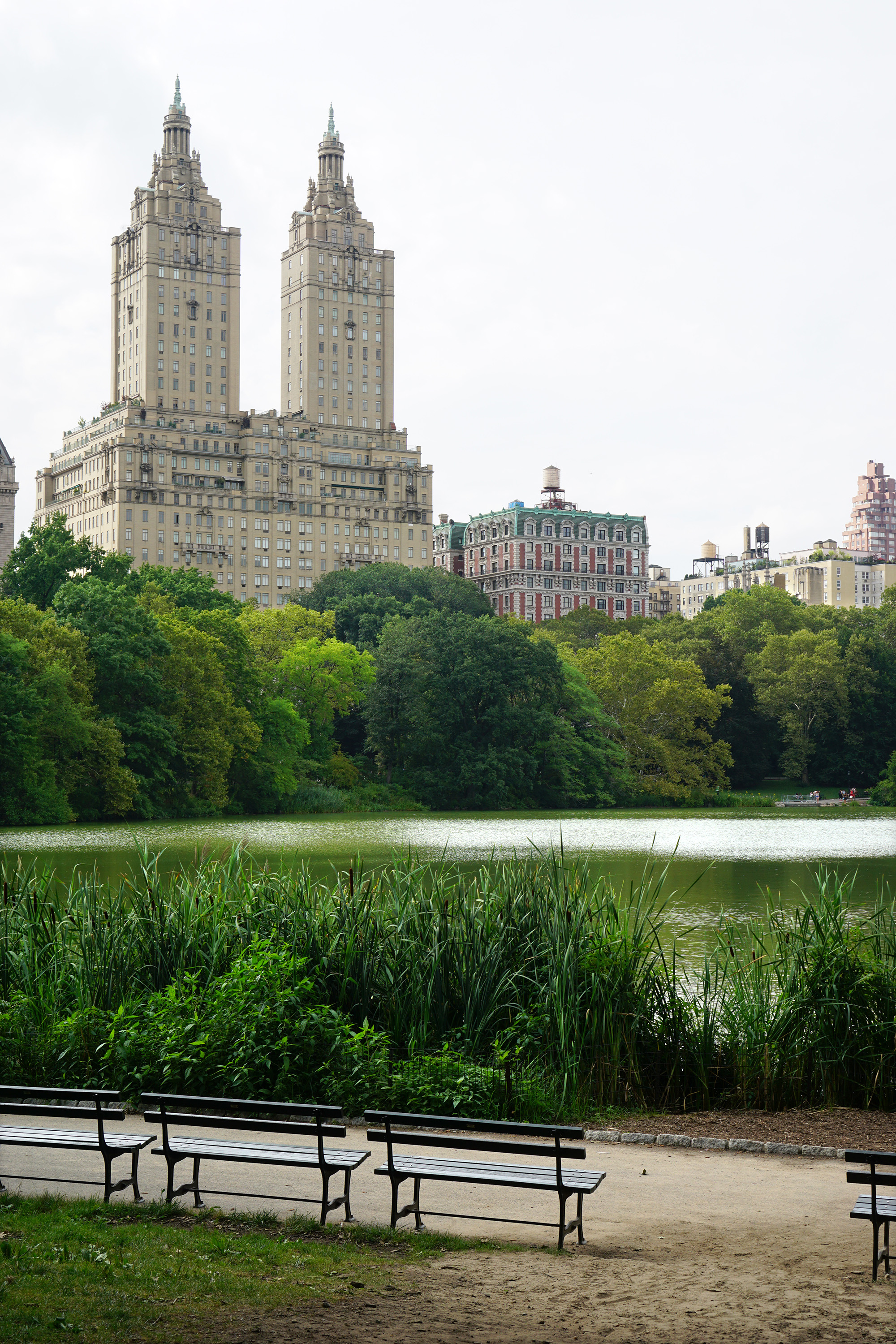 The Lake, Central Park, New York City / Darker than Green