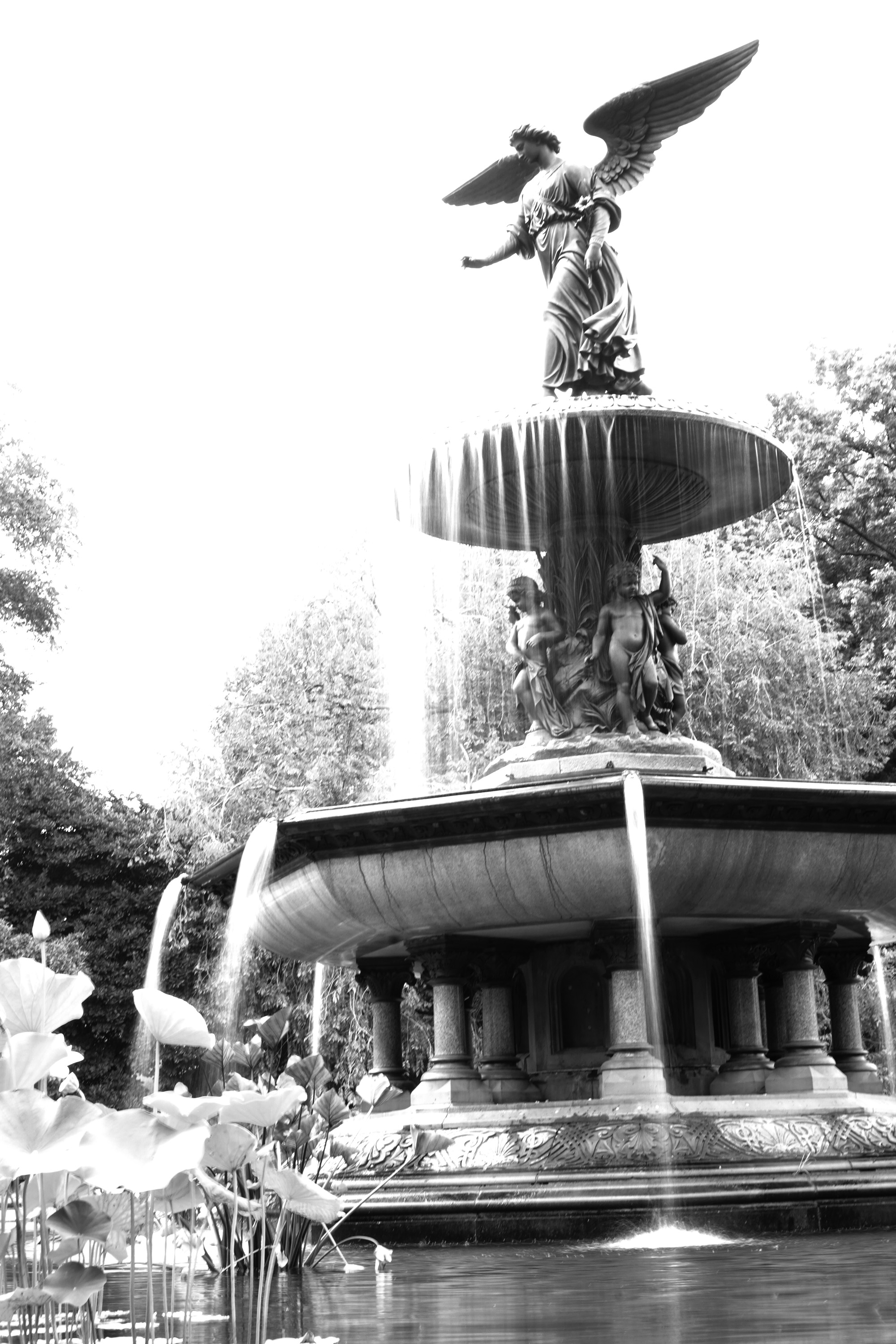 Bethesda Fountain, Central Park, New York City / Darker than Green