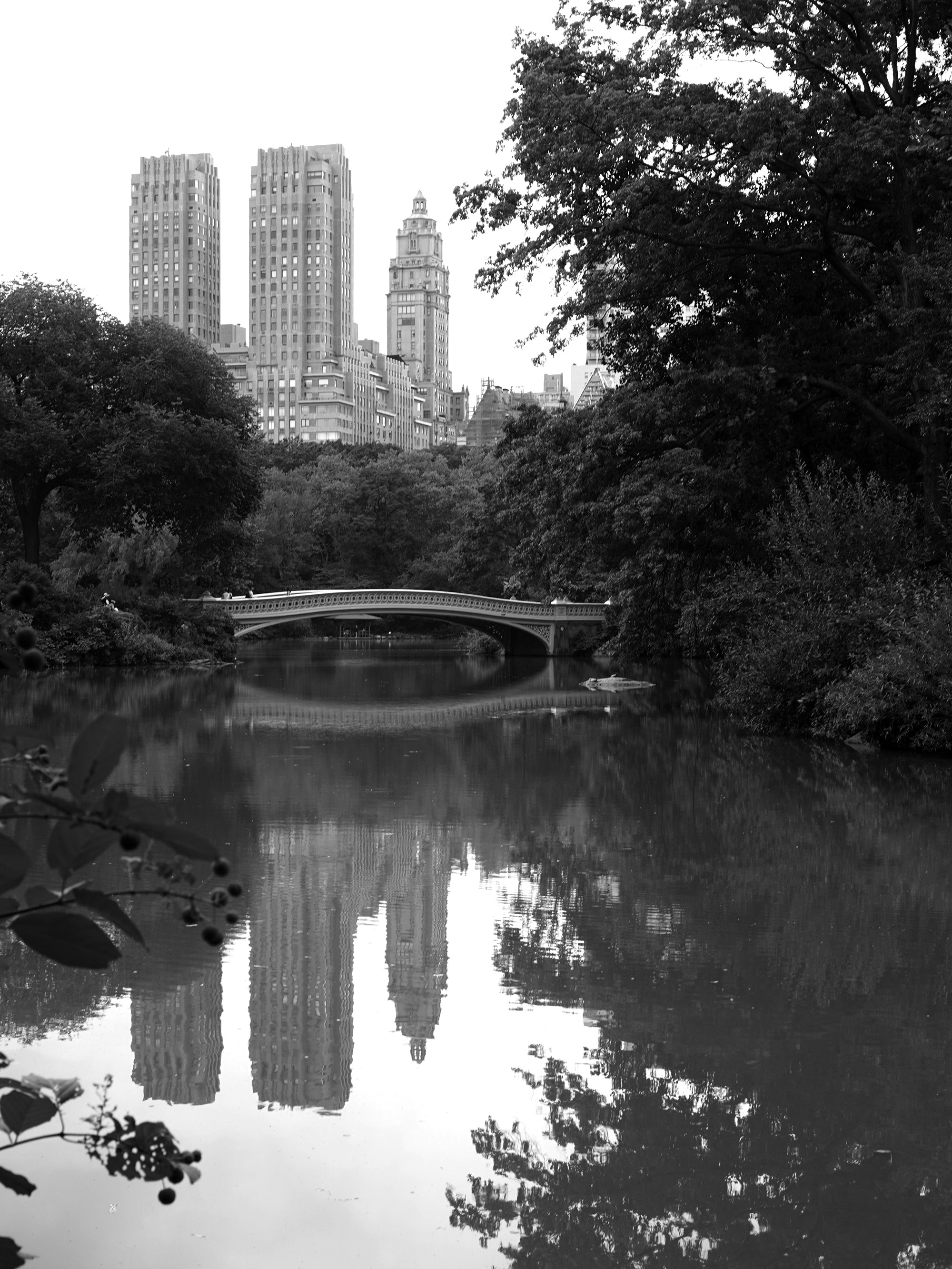 The Lake, Central Park, New York City / Darker than Green