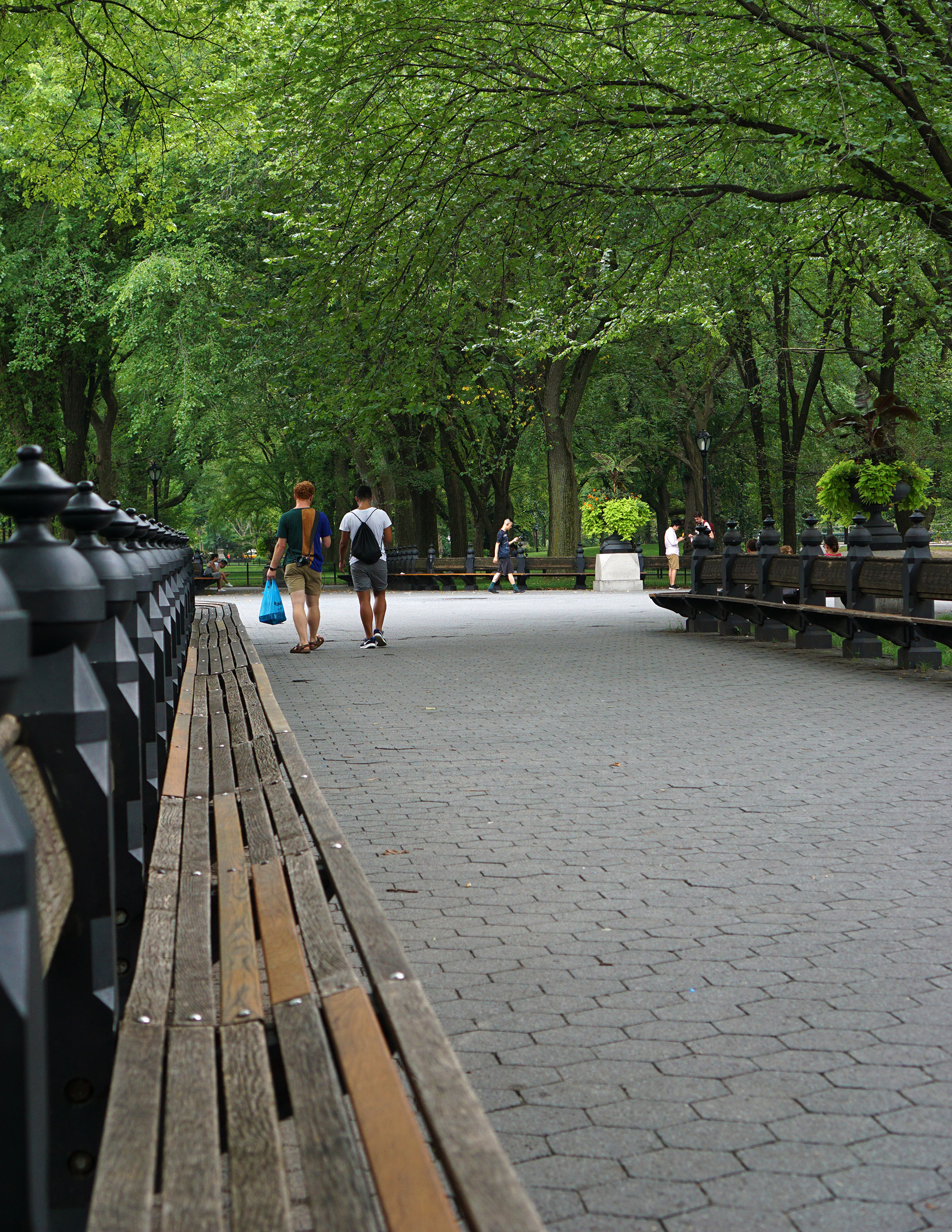 Central Park, New York City / Darker than Green