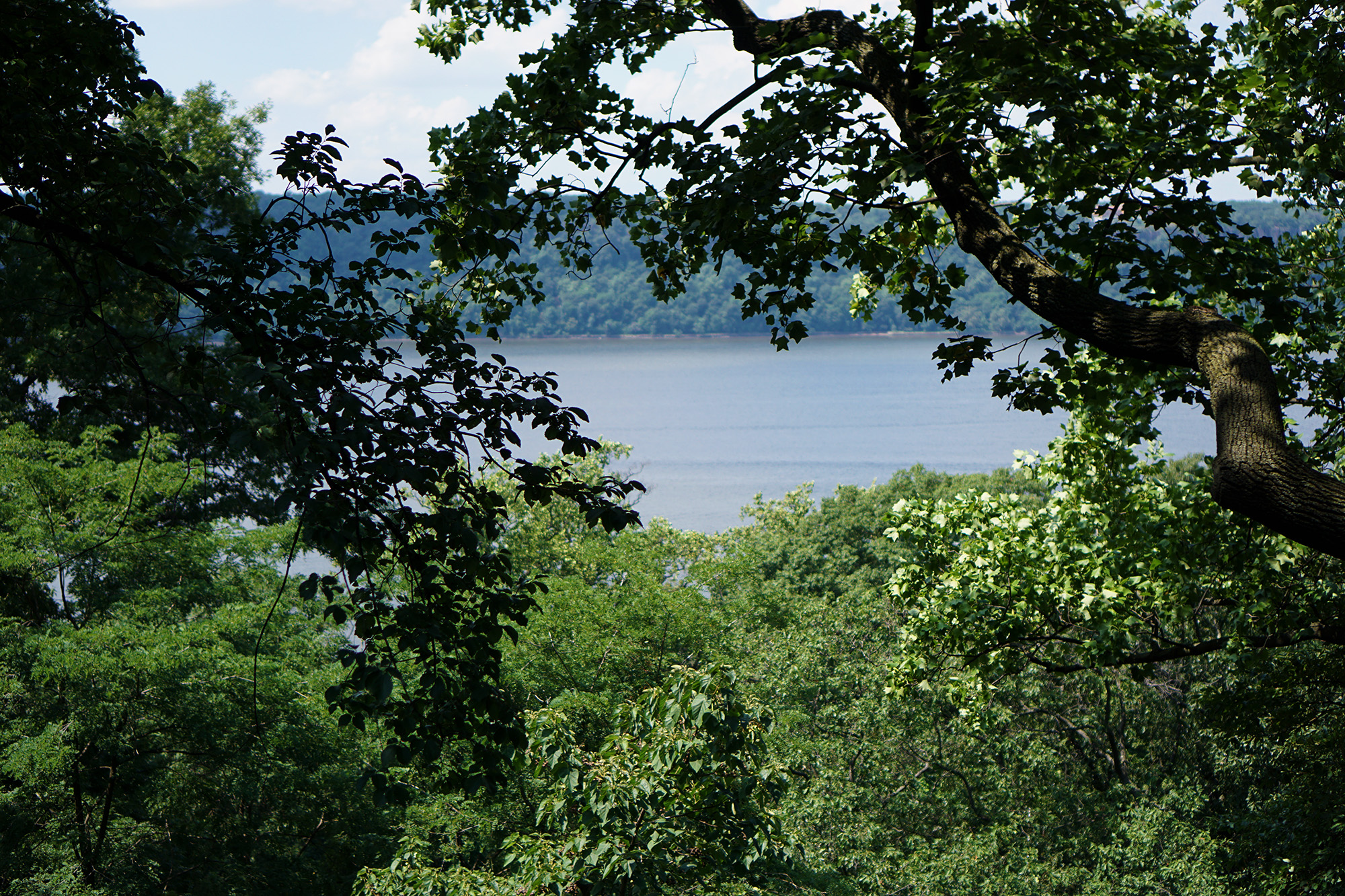 Hudson River off 190th St, NYC / Darker than Green