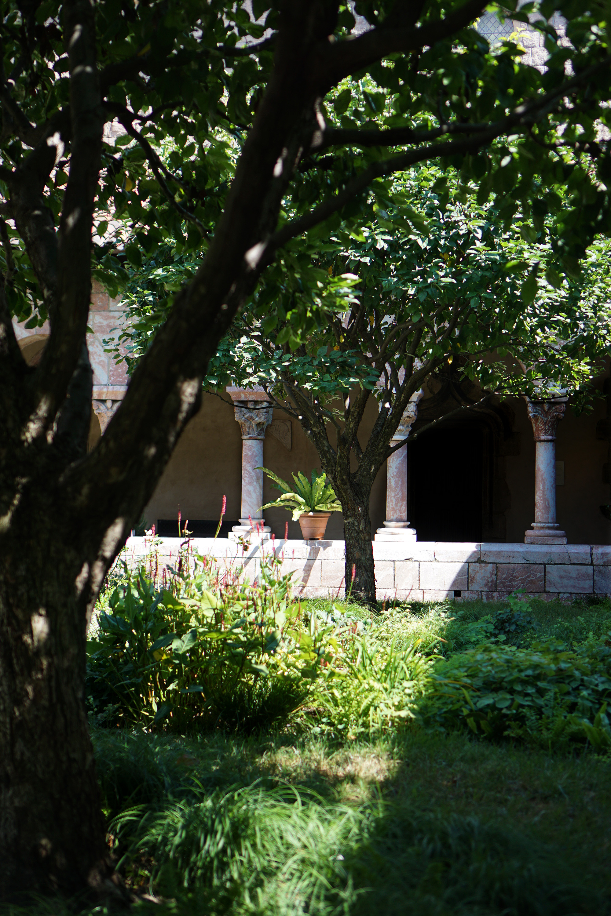 The Cloisters, New York City / Darker than Green