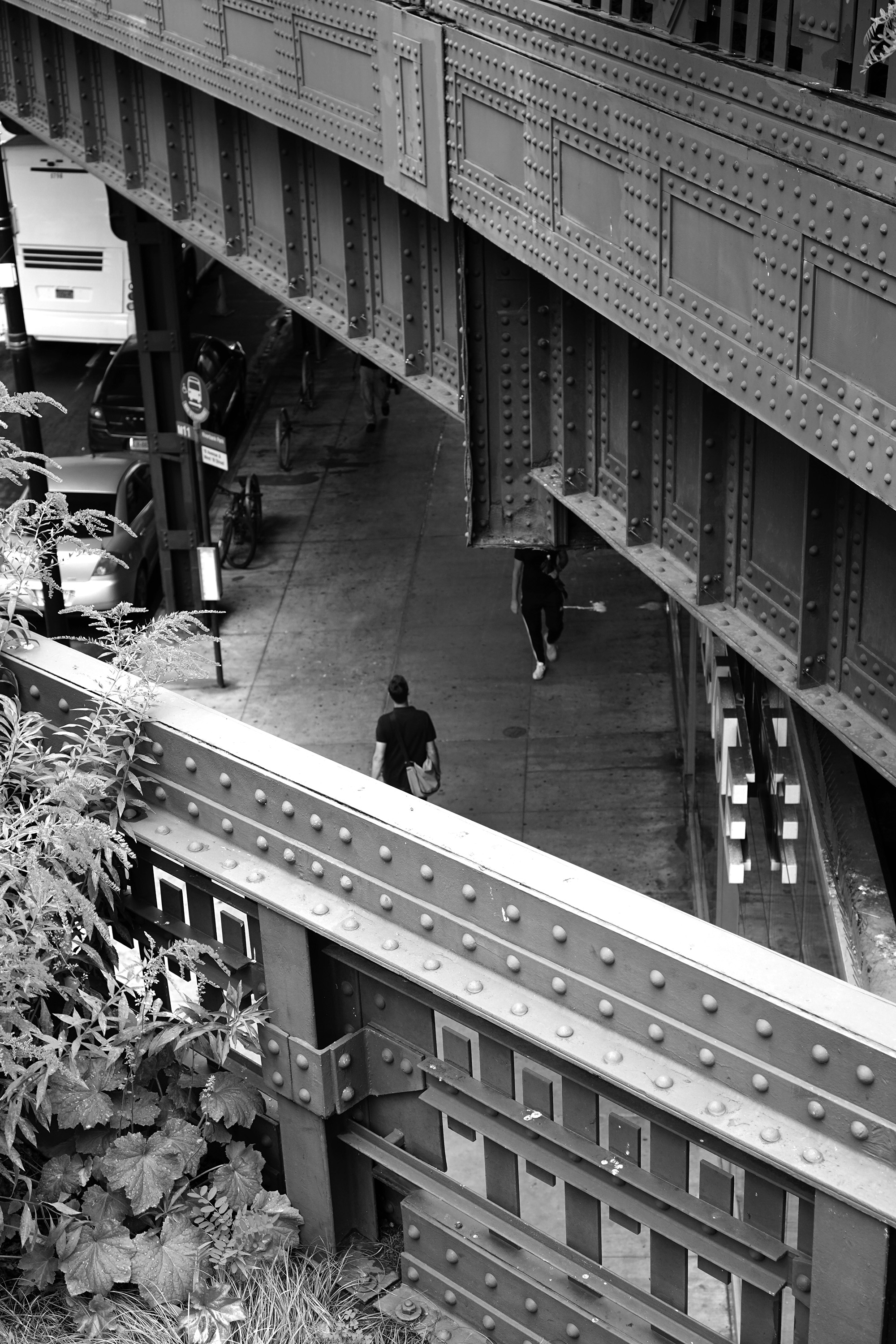 The High Line, New York City / Darker than Green