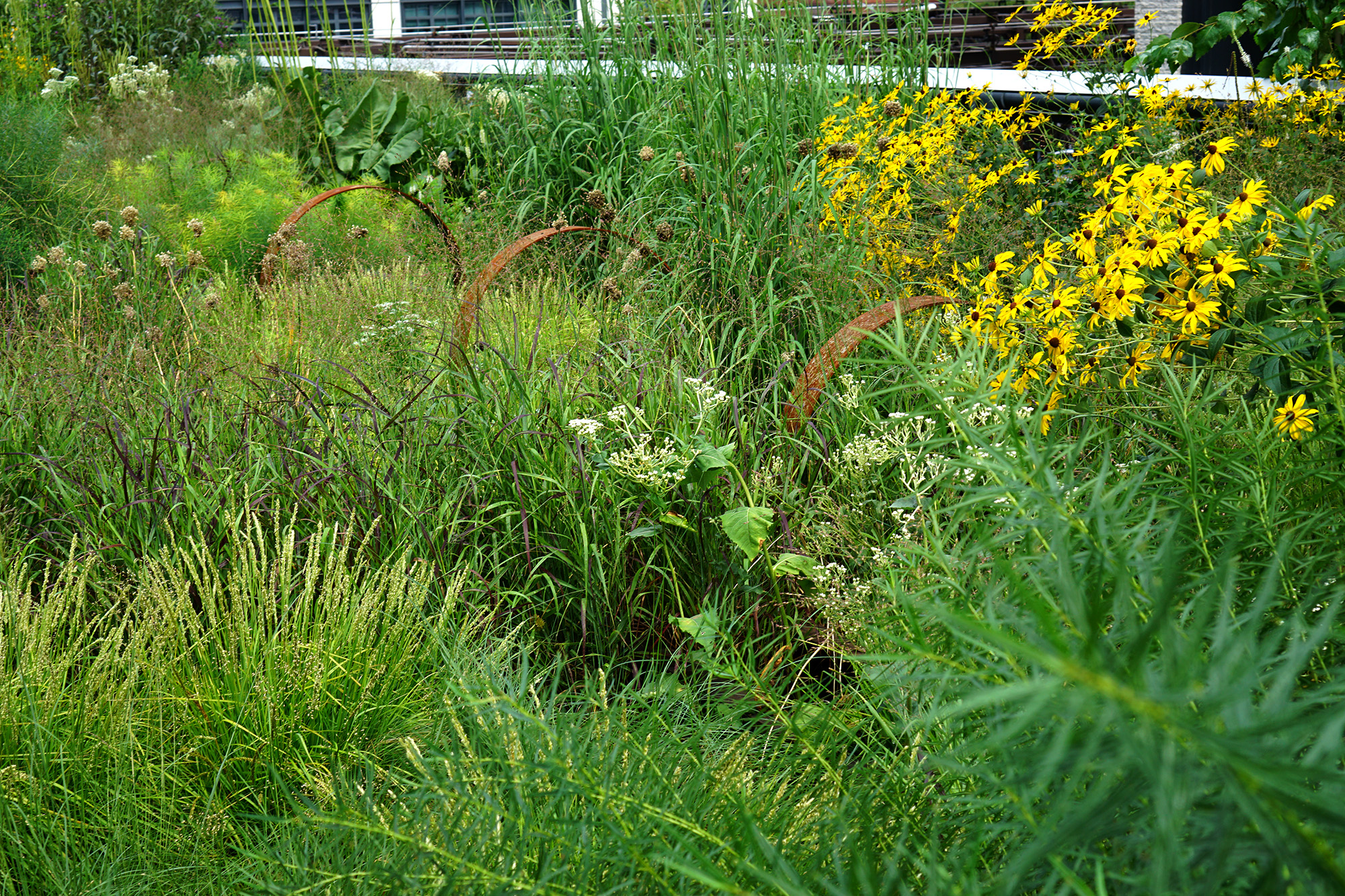 The High Line, New York City / Darker than Green