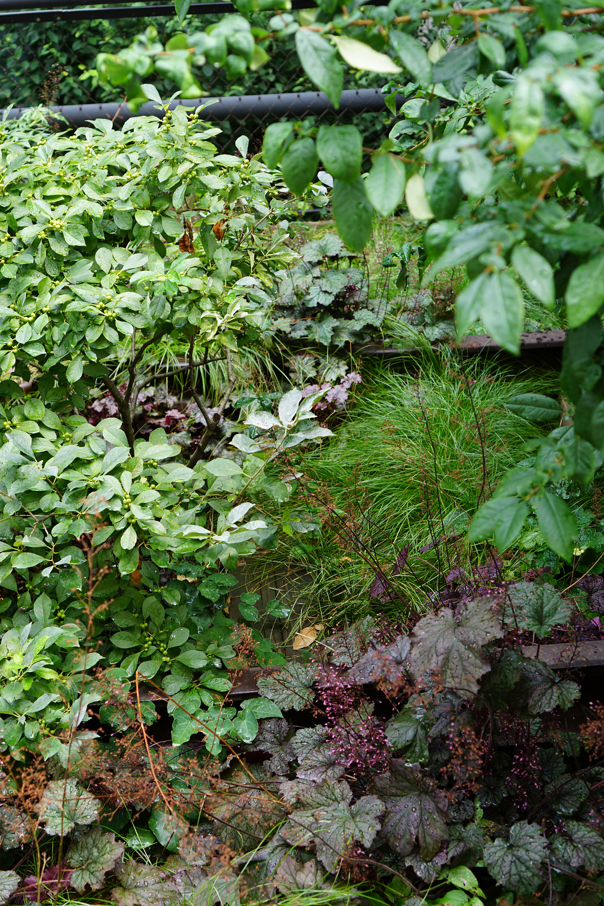 The High Line, New York City / Darker than Green