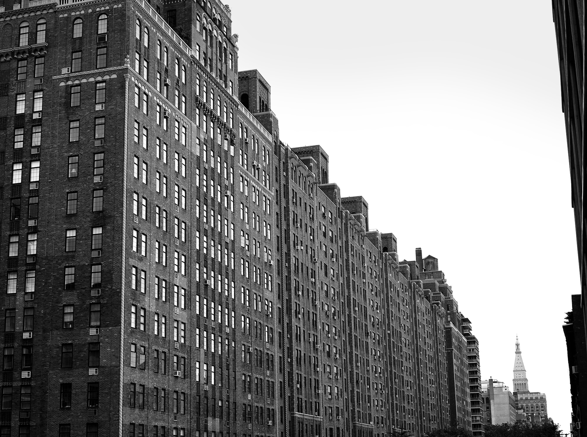 The High Line, New York City / Darker than Green