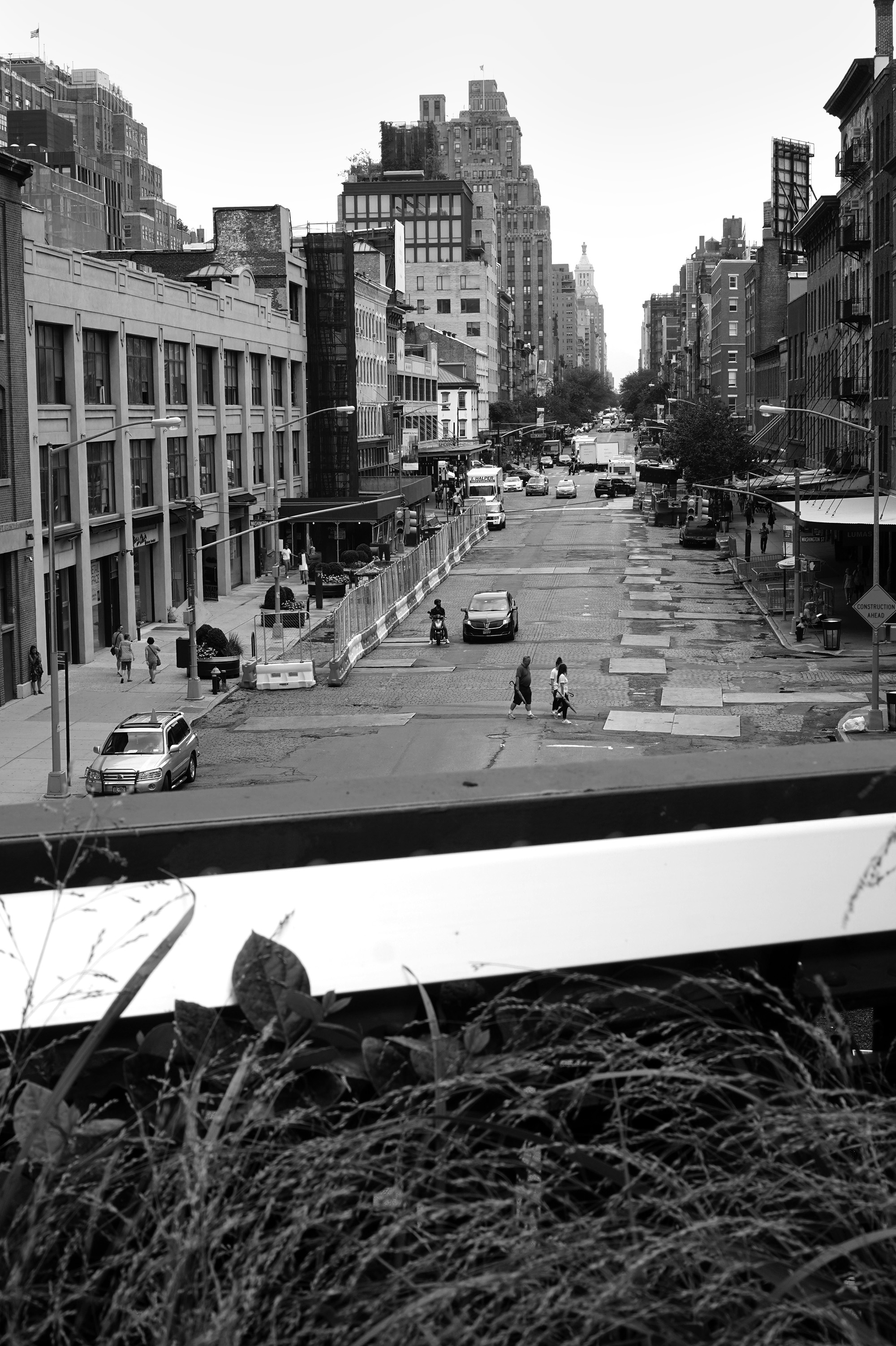 The High Line, New York City / Darker than Green