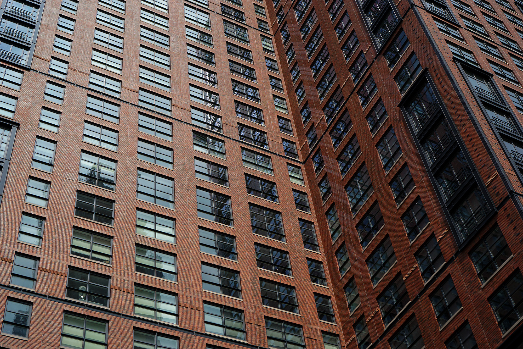 The High Line, New York City / Darker than Green