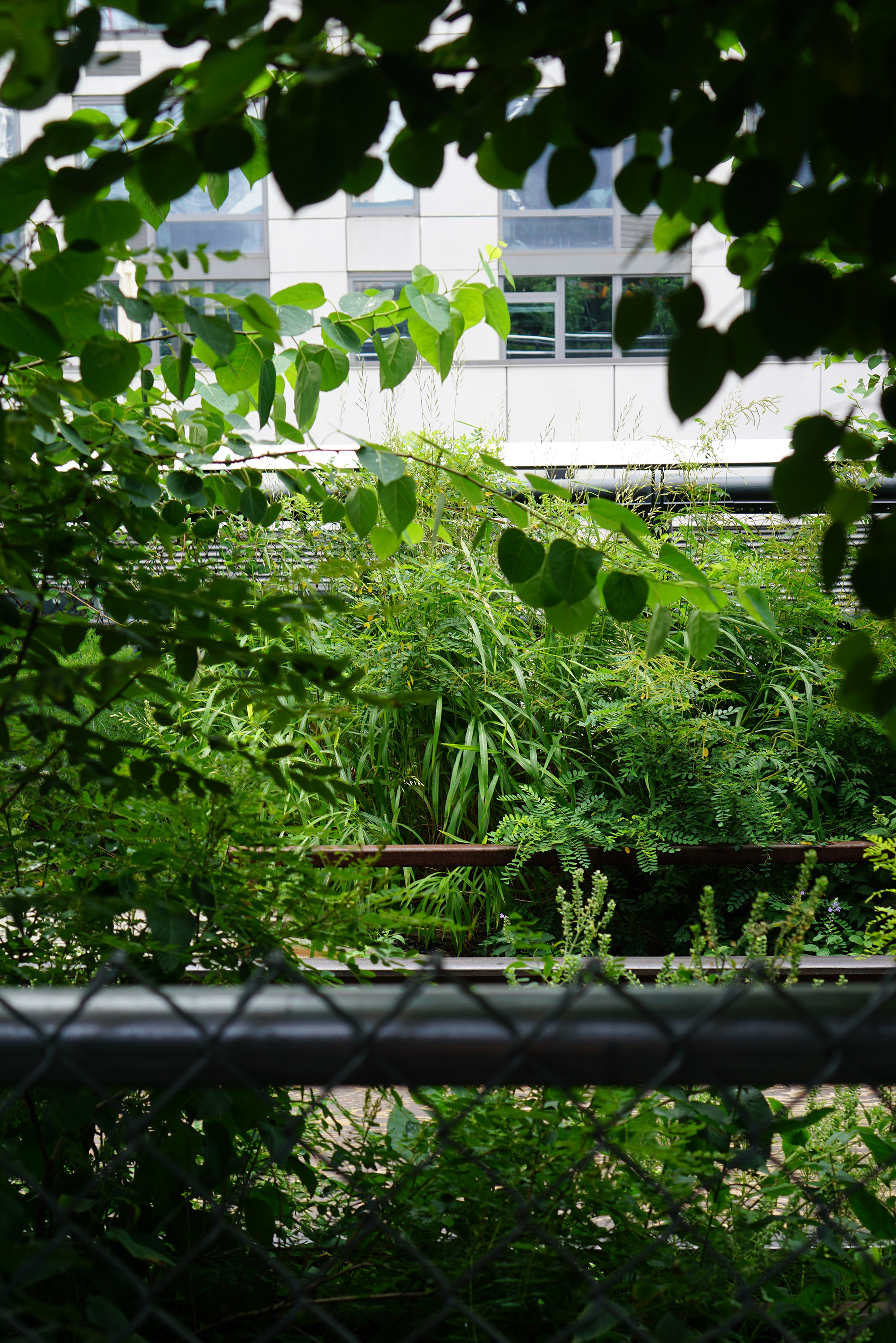 The High Line, New York City / Darker than Green