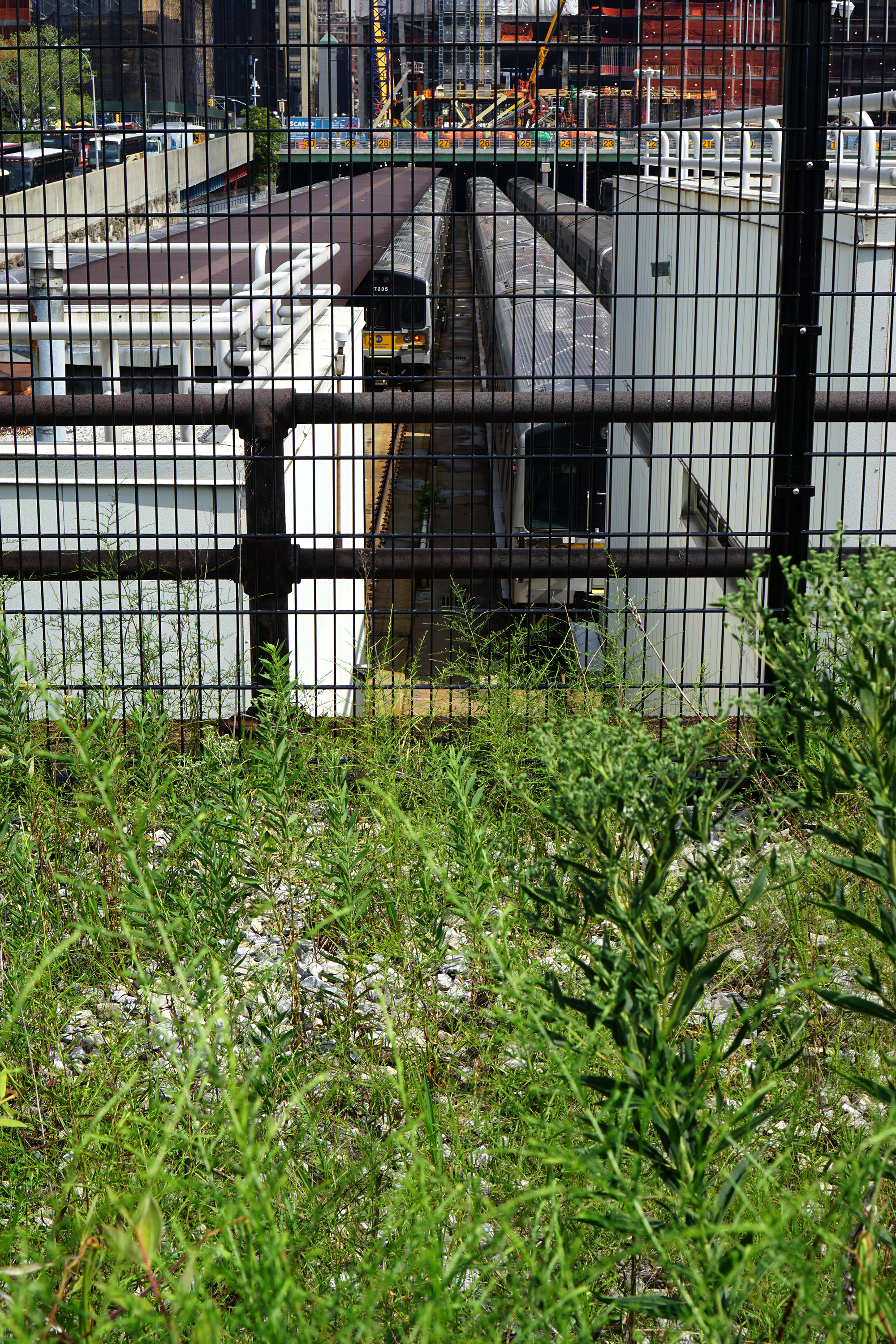 The High Line, New York City / Darker than Green