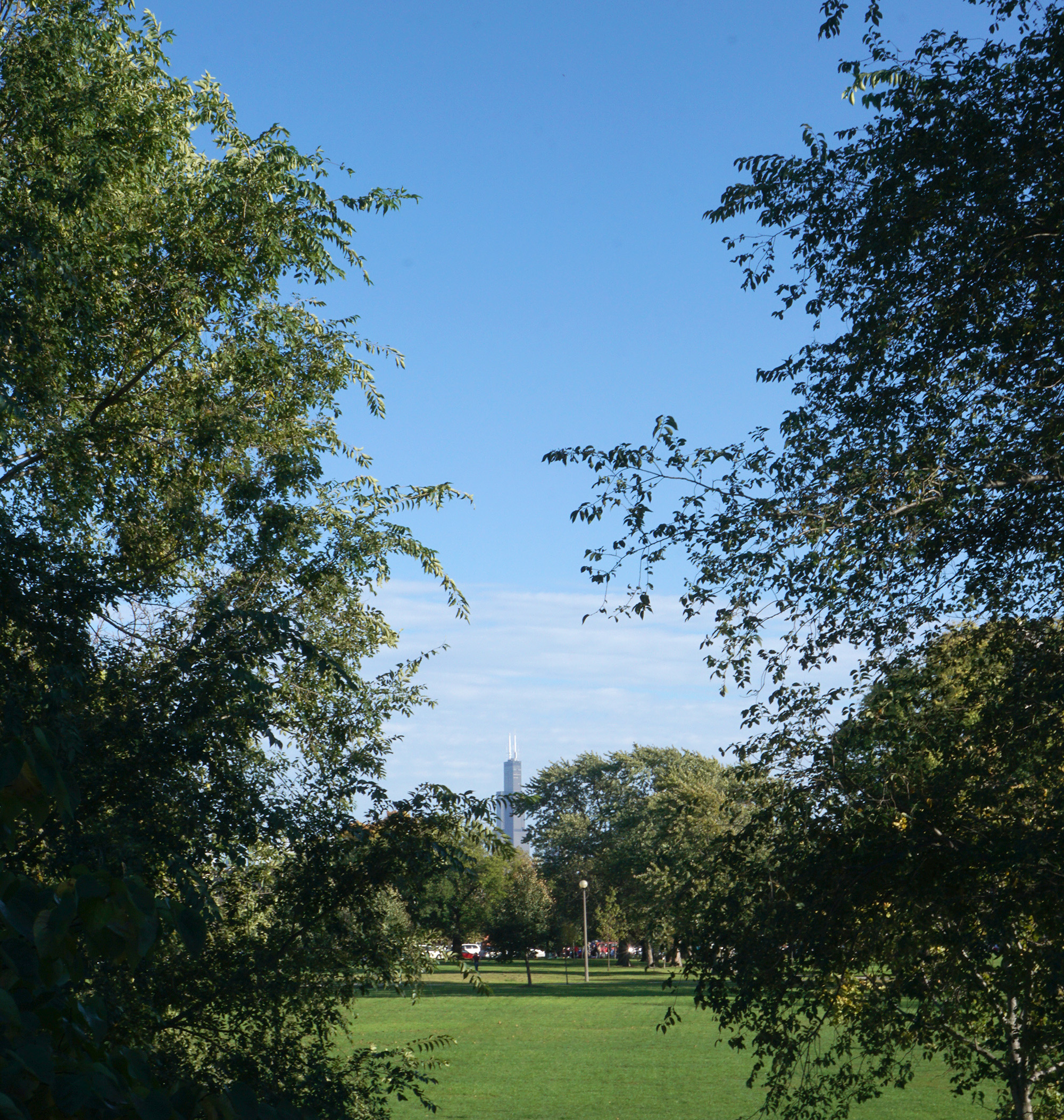 View of Sears Tower from Humboldt Park, Chicago / Darker than Green