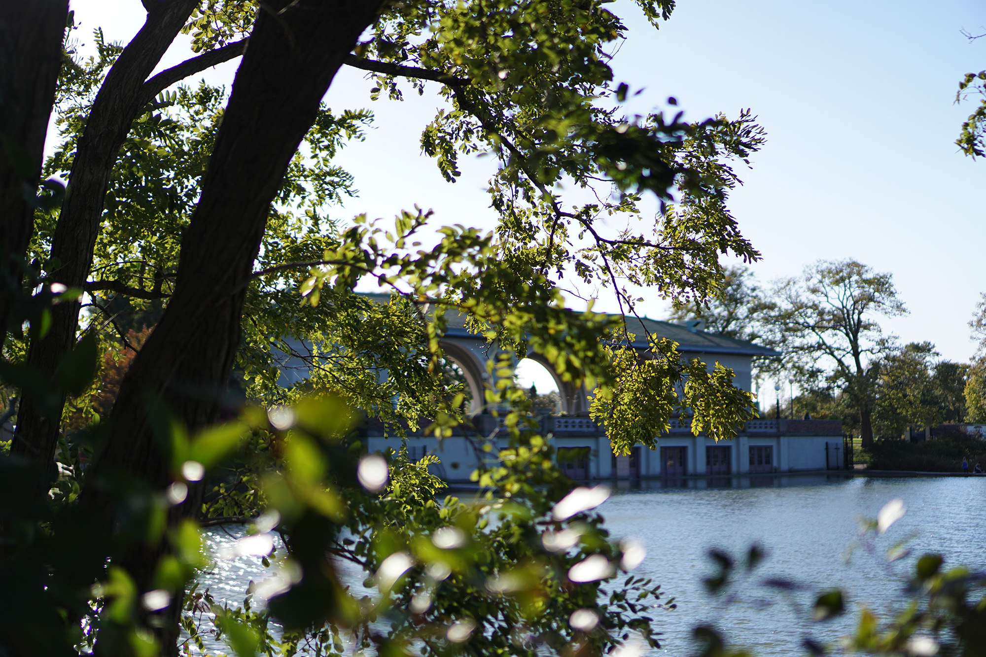 Humboldt Park fieldhouse, Chicago / Darker than Green