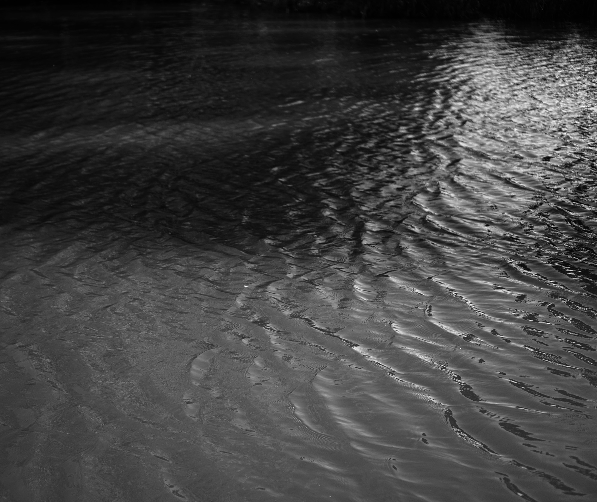 Humboldt Park lagoon, Chicago / Darker than Green