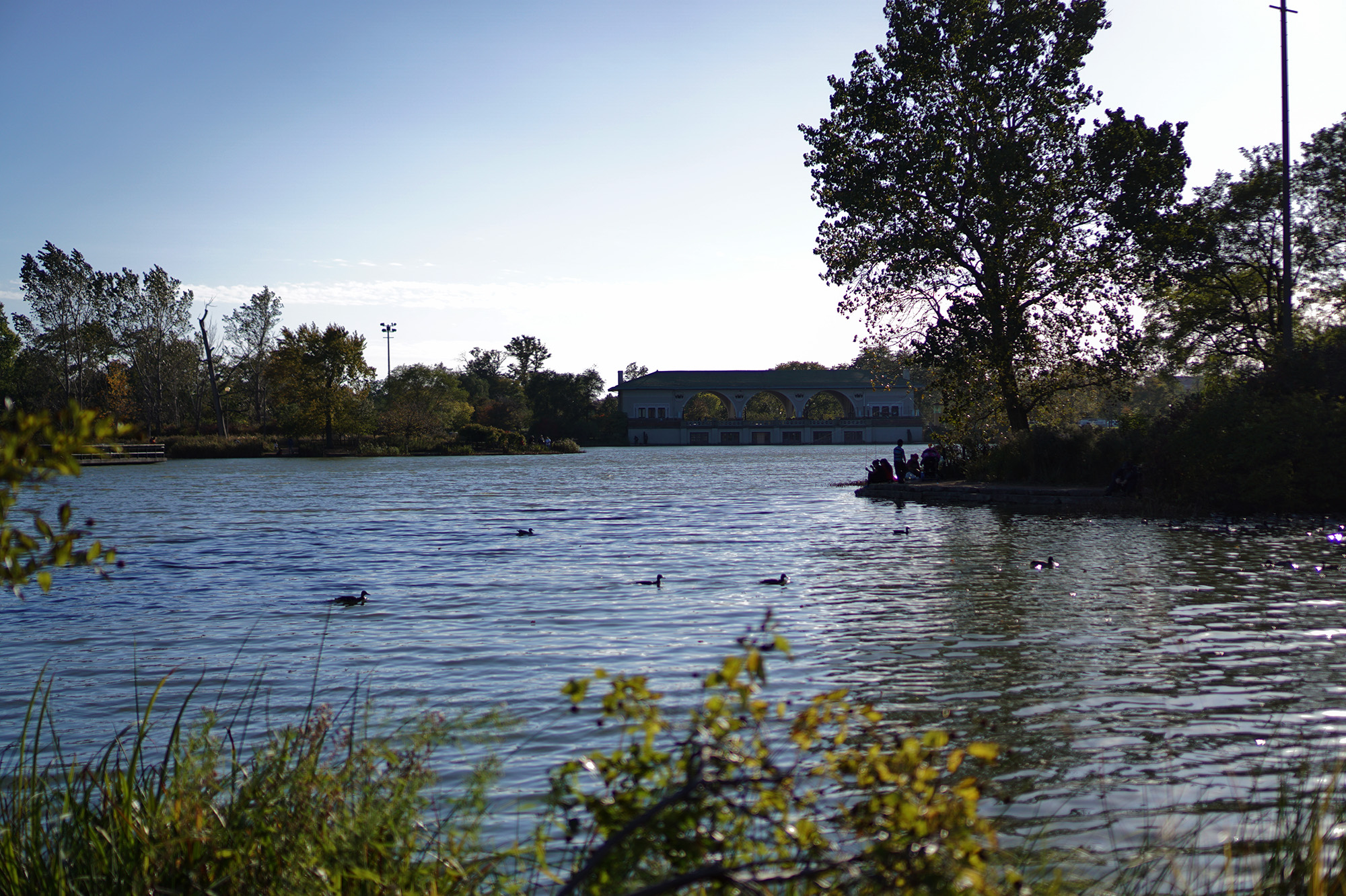 Humboldt Park lagoon and fieldhouse in the distance, Chicago / Darker than Green