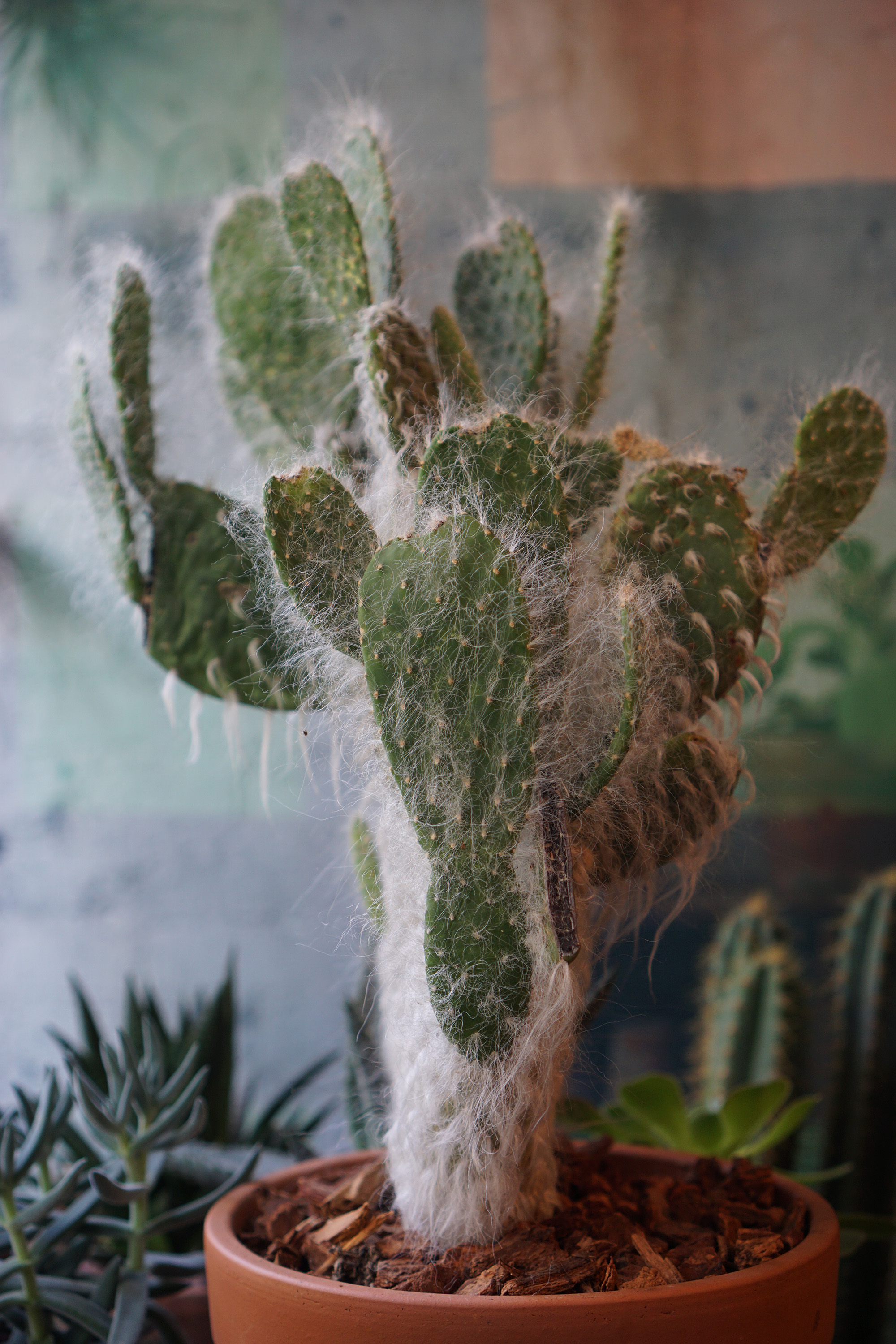 Green Fingers on Rivingston St, New York / Darker than Green