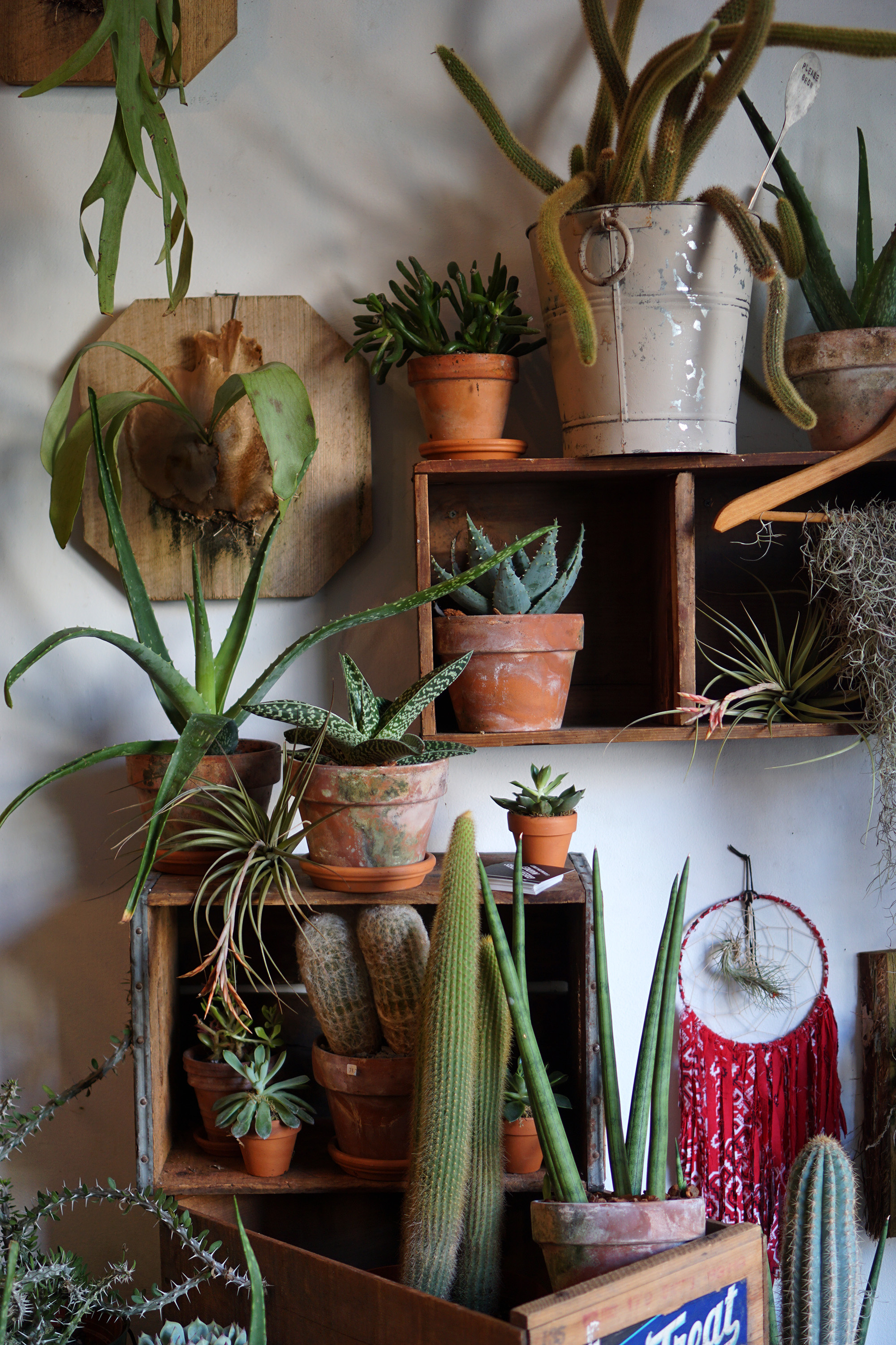 Green Fingers on Rivingston St, New York / Darker than Green